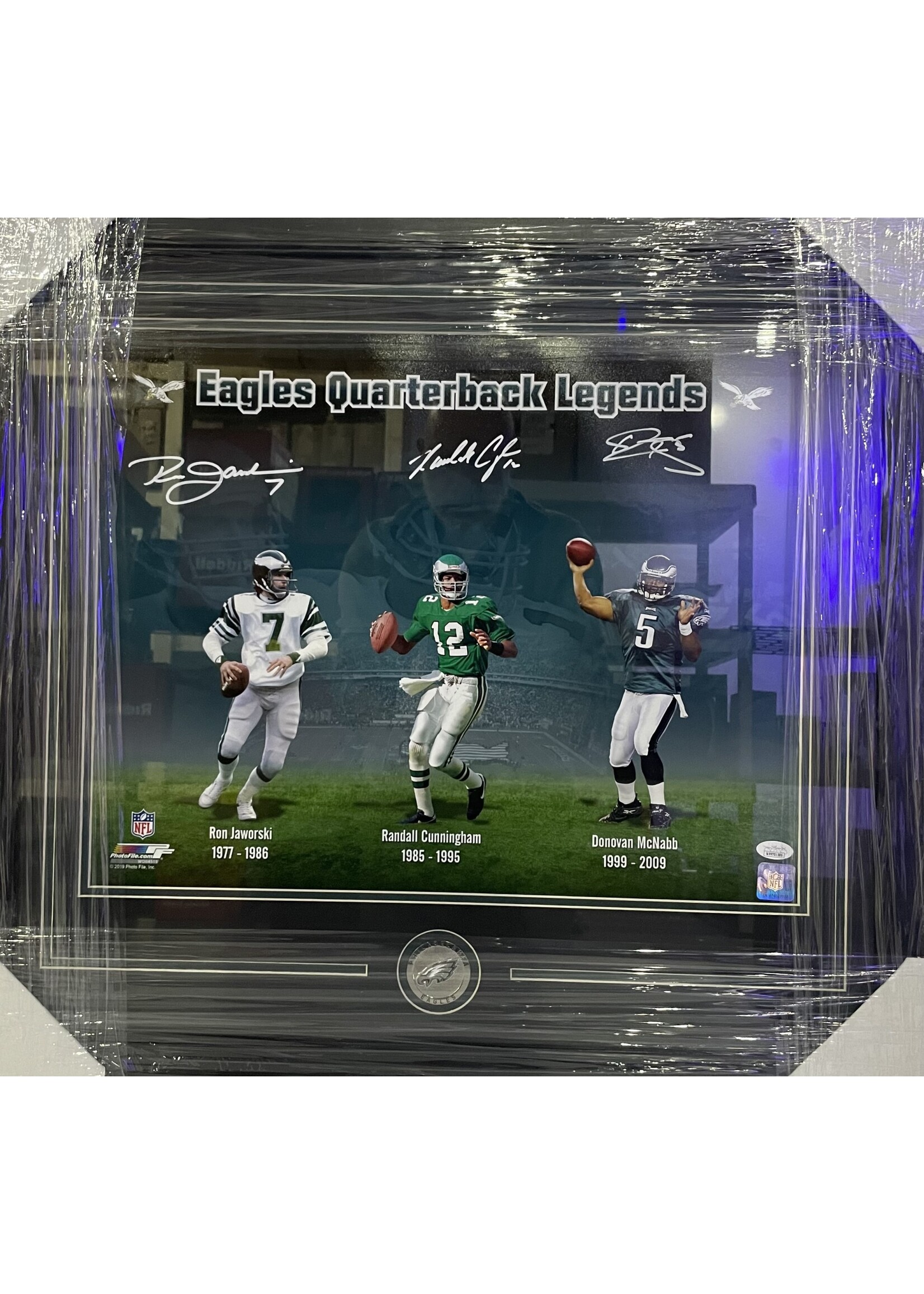 Eagles Quarterbacks 16x20