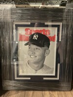 Picture Mantle SI NS