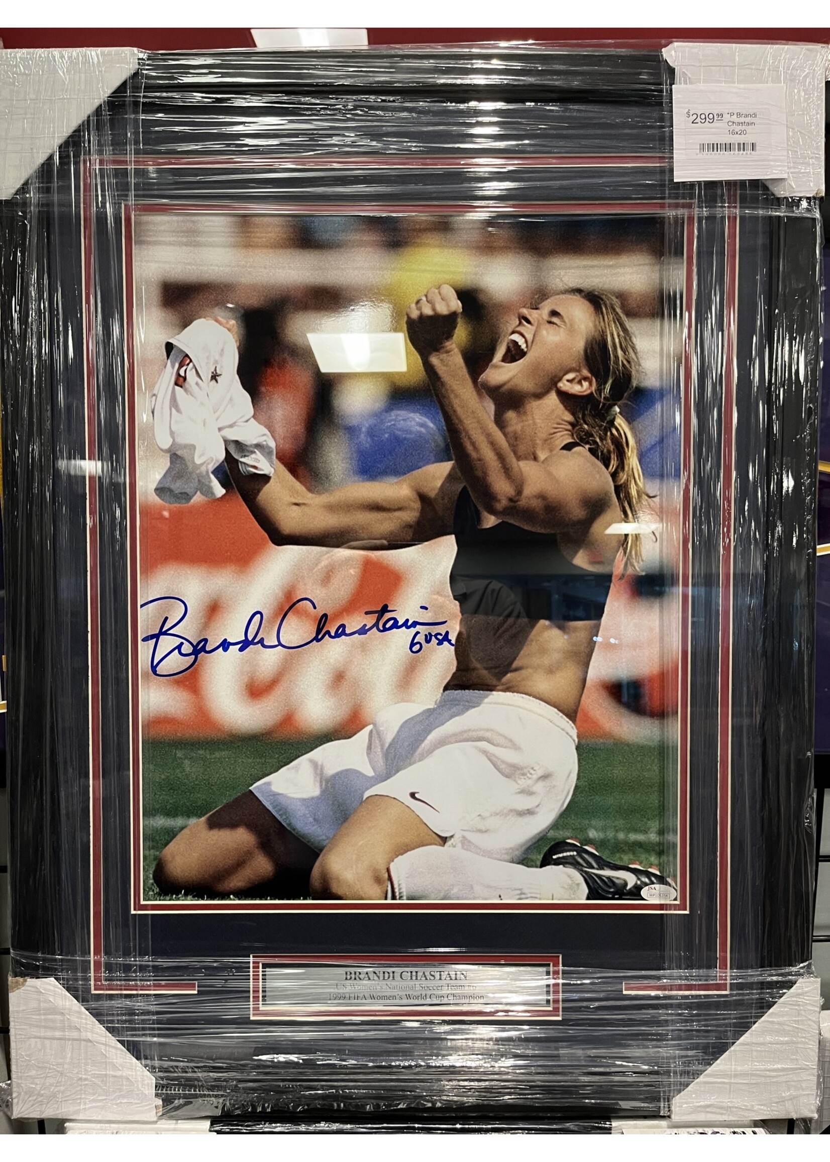 Brandi Chastain 16x20