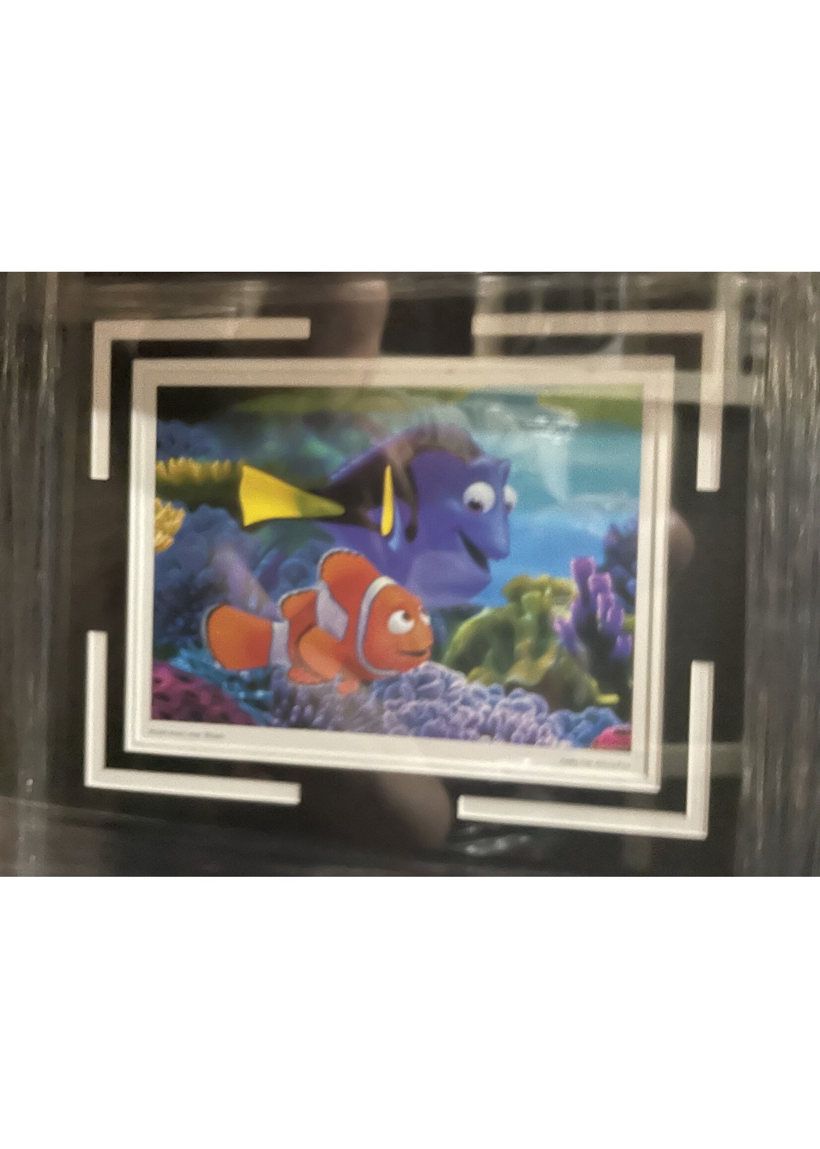 Picture Finding Nemo Print