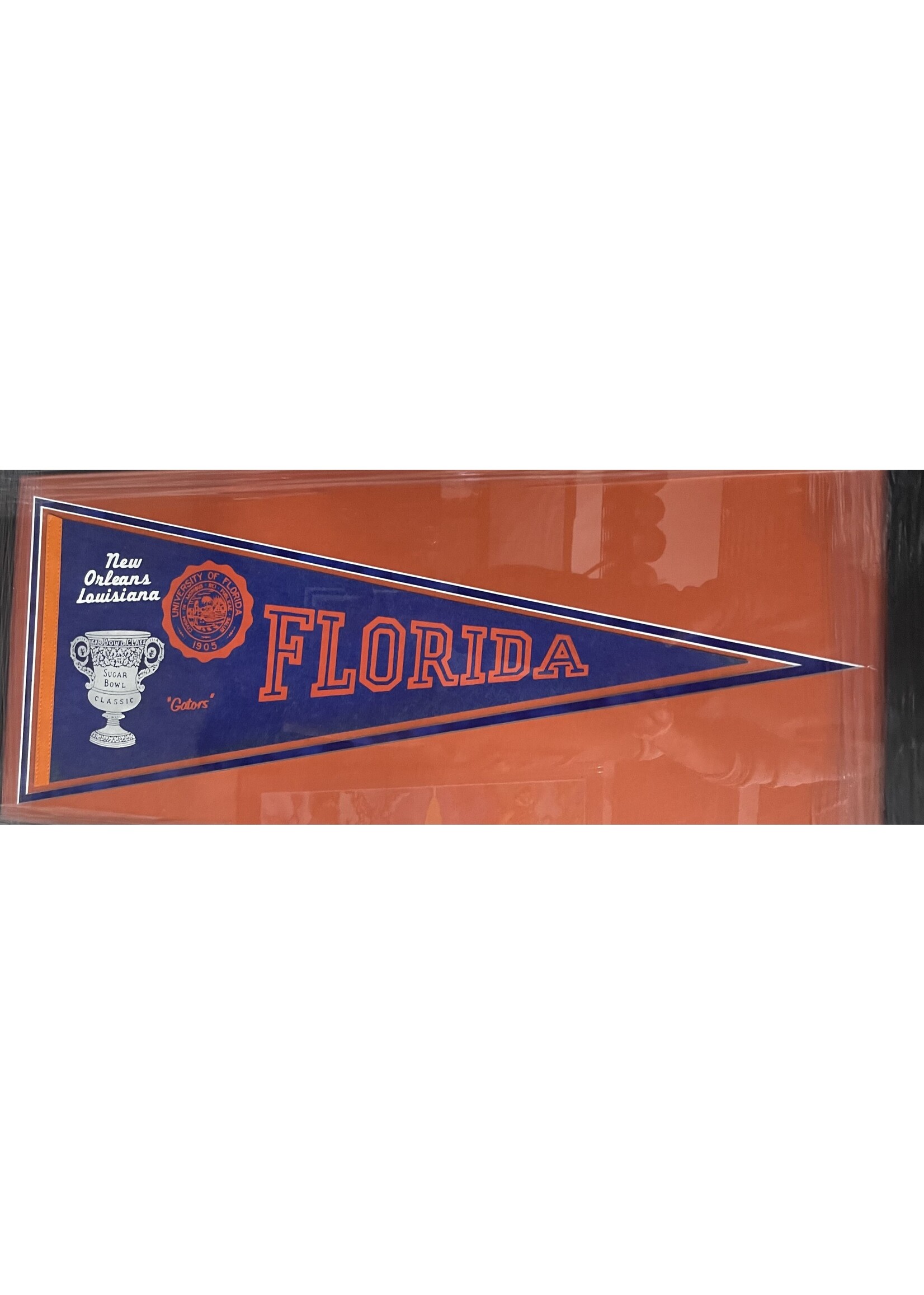 Pennant (F & UF) Florida SB Pennant
