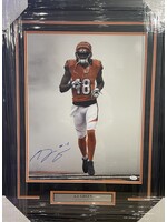 AJ Green 16x20