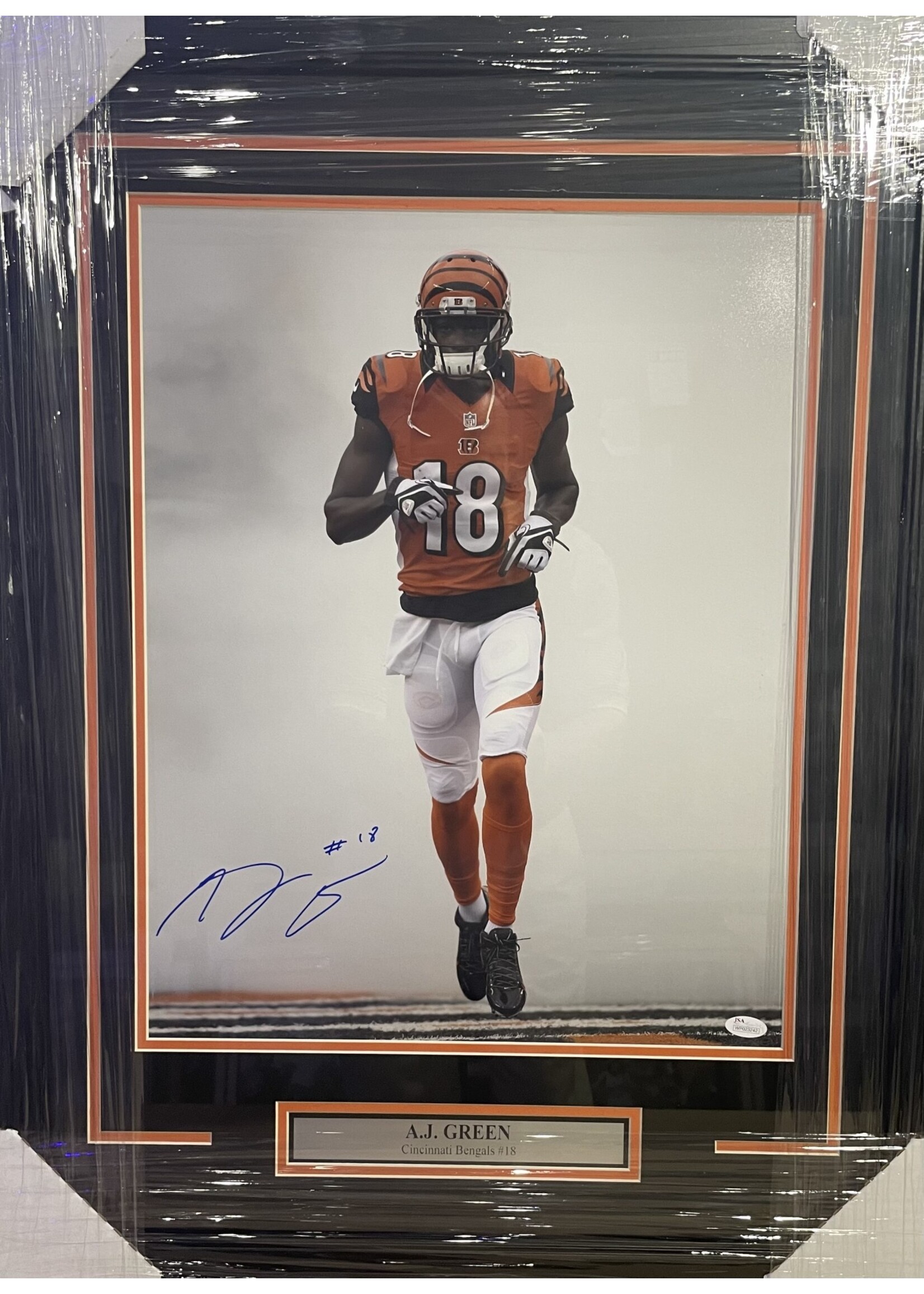 Picture AJ Green 16x20