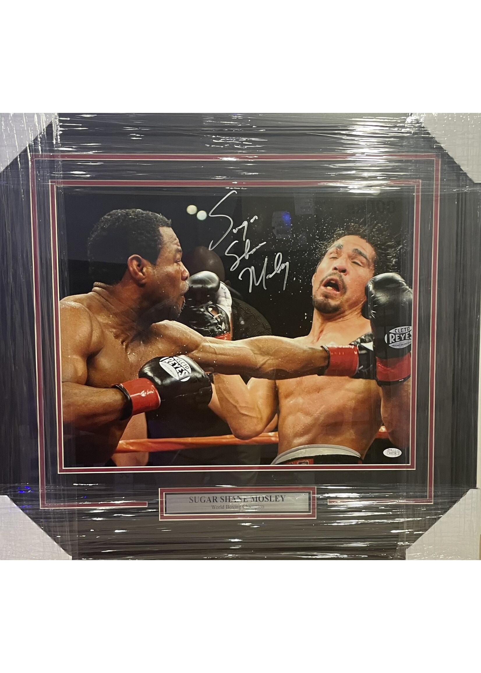 Picture Shane Mosley 16x20