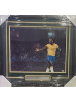 Picture Pele 16x20 D