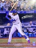 Picture Vlad Guerrero Jr 16x20 A