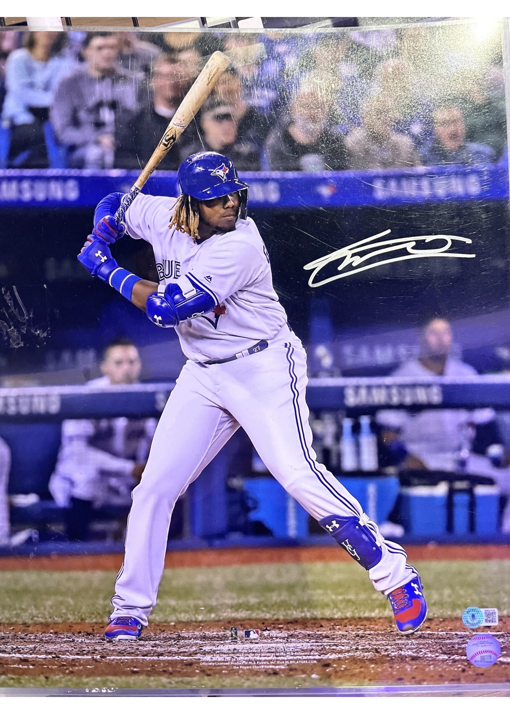 Picture Vlad Guerrero Jr 16x20 A