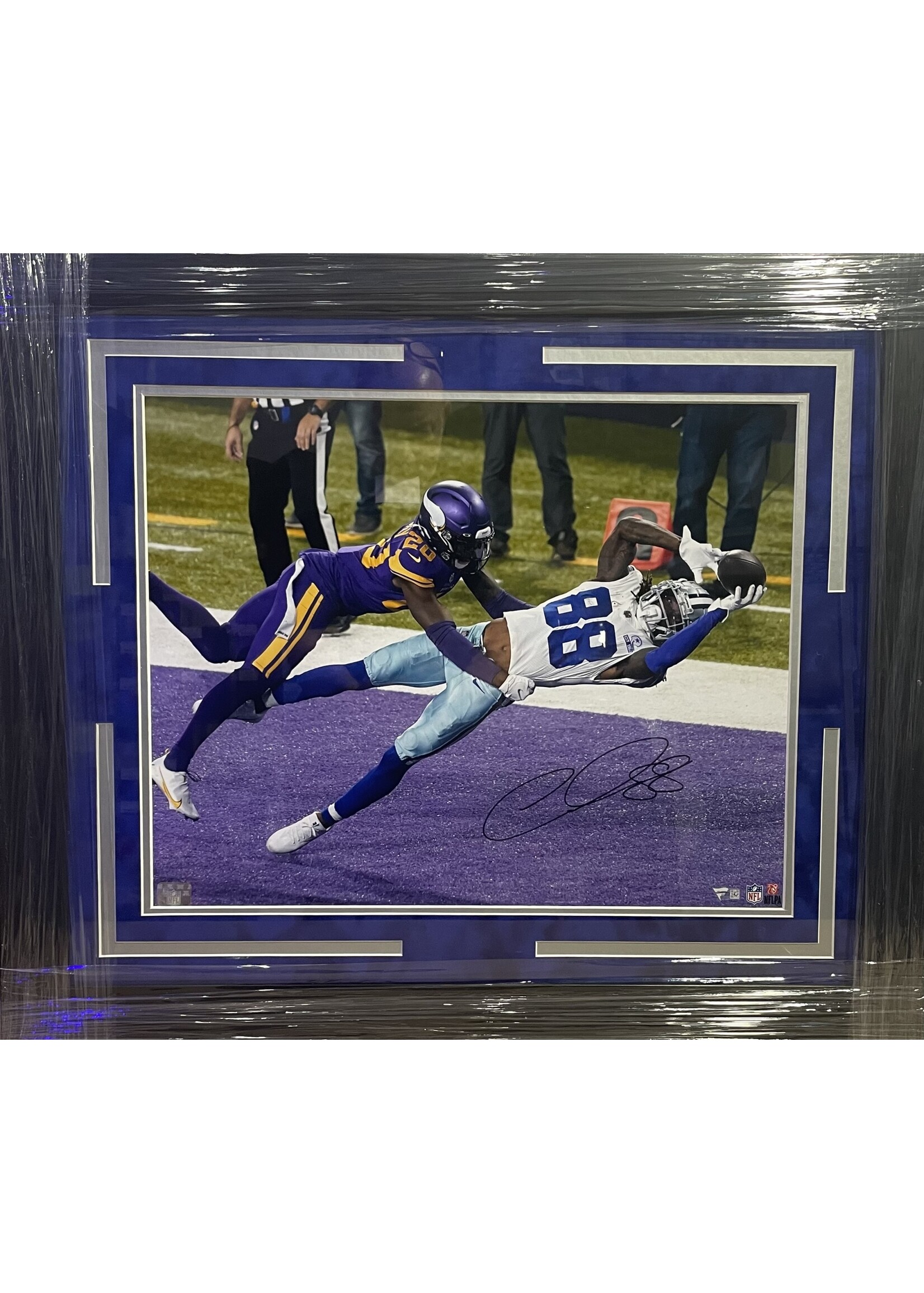 Picture Cee Dee Lamb 16x20