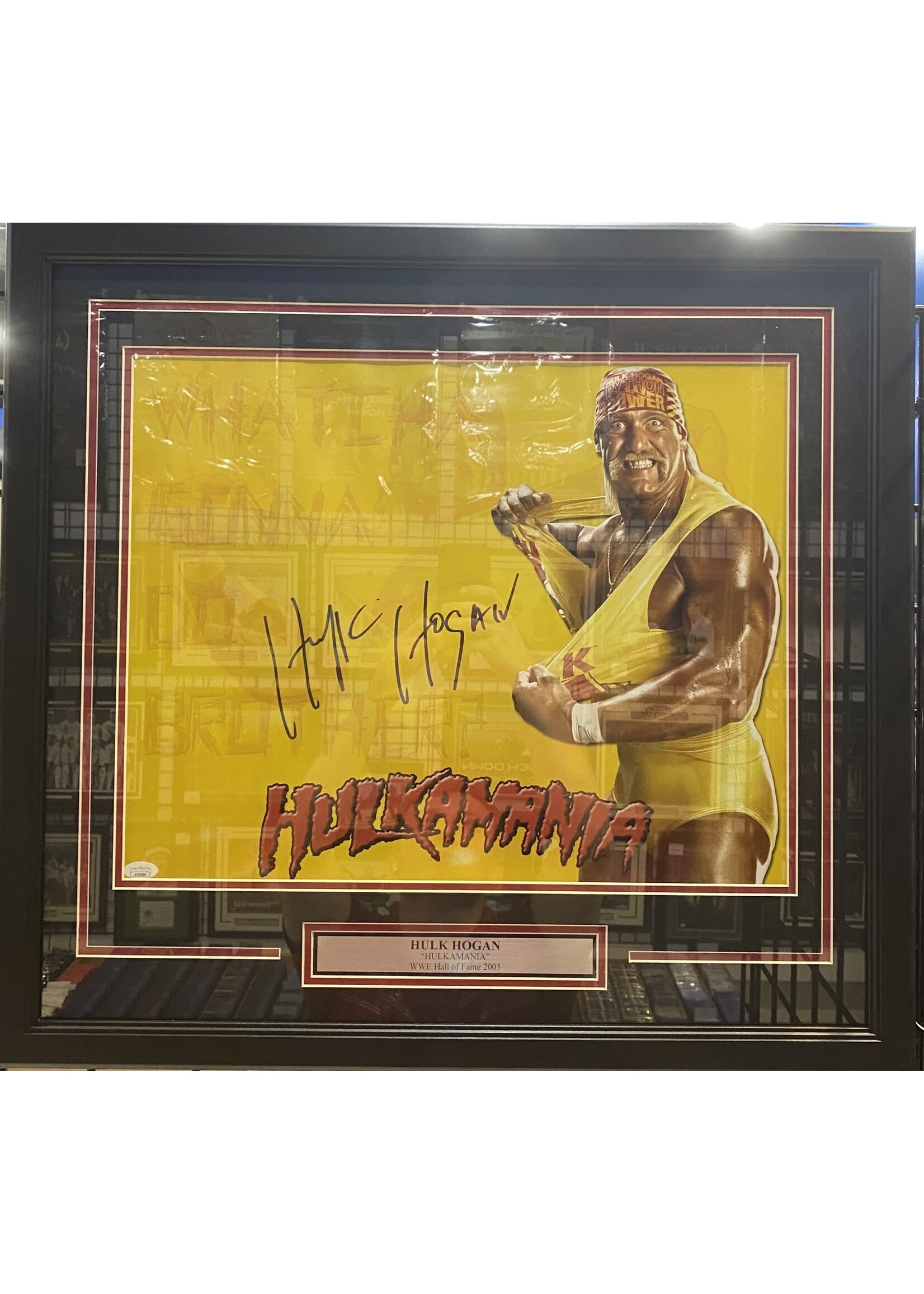 Hulk Hogan 16x20