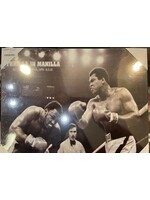 Muhammad Ali 16x20 Lam