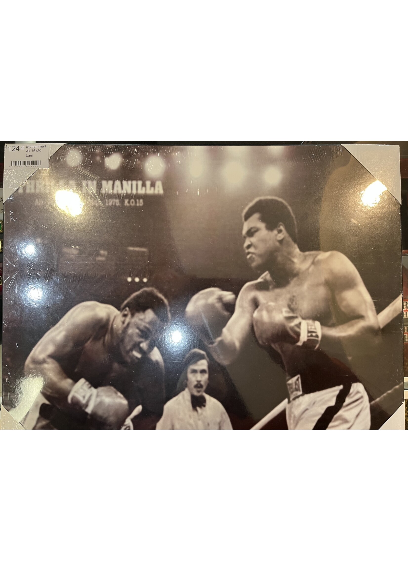 Muhammad Ali 16x20 Lam