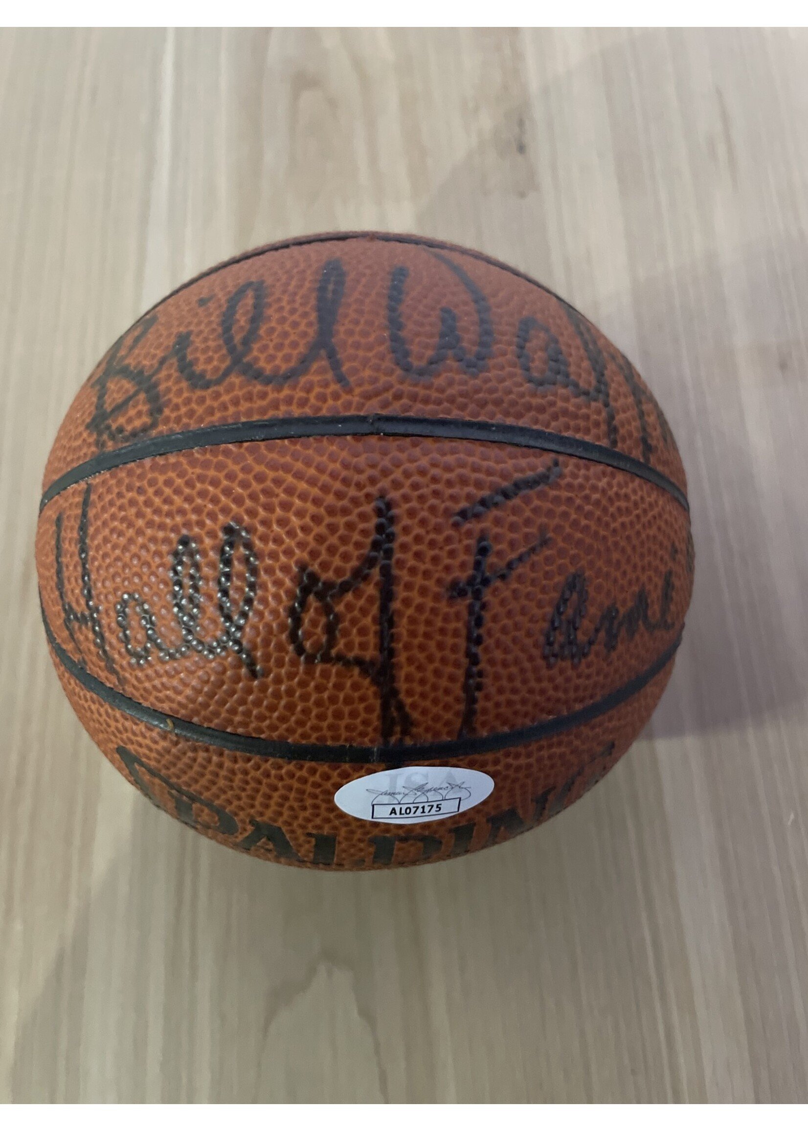 Bill Walton Mini Basketball