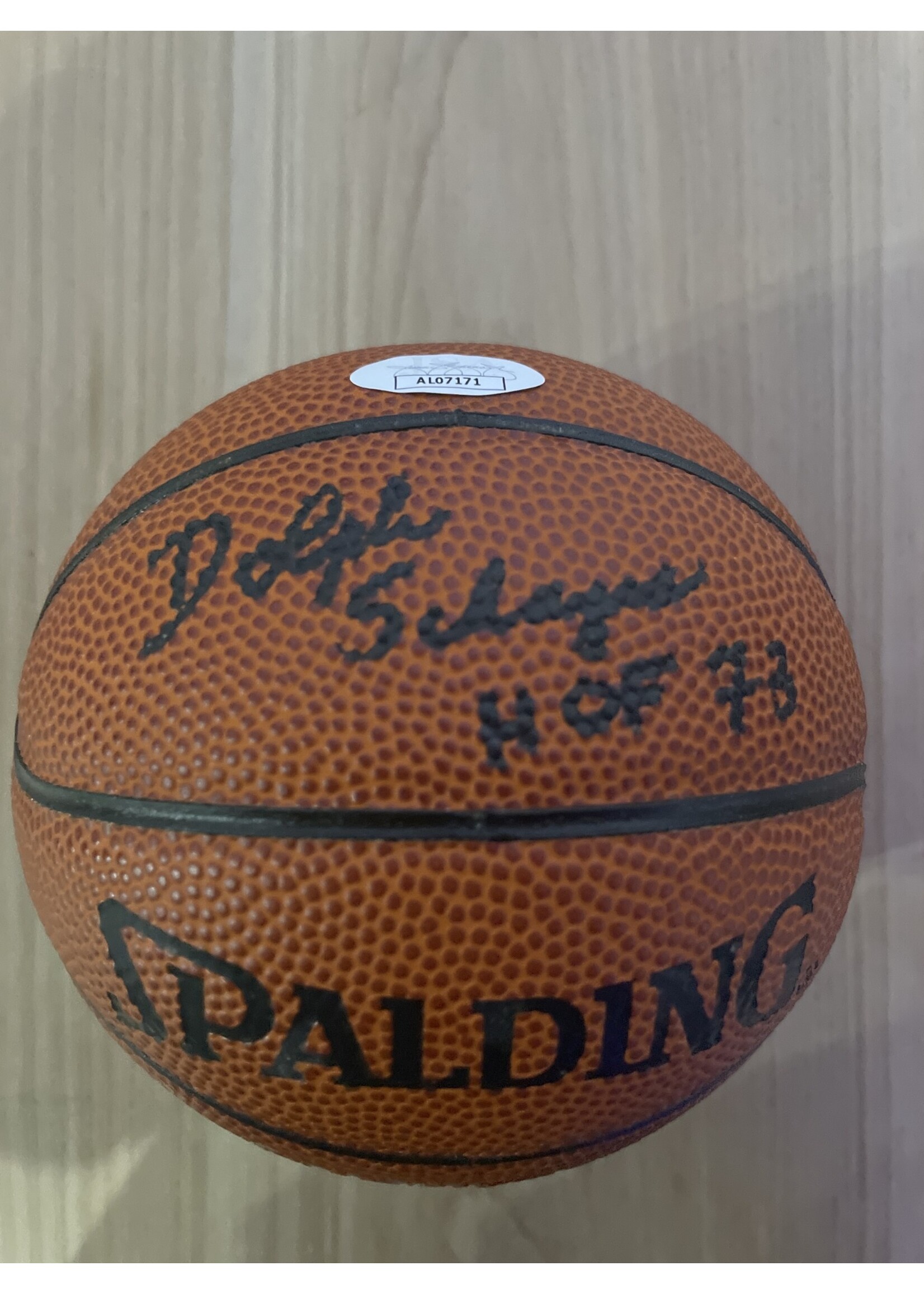 Balls/Bats/Gloves Dolph Schayes Mini Basketball