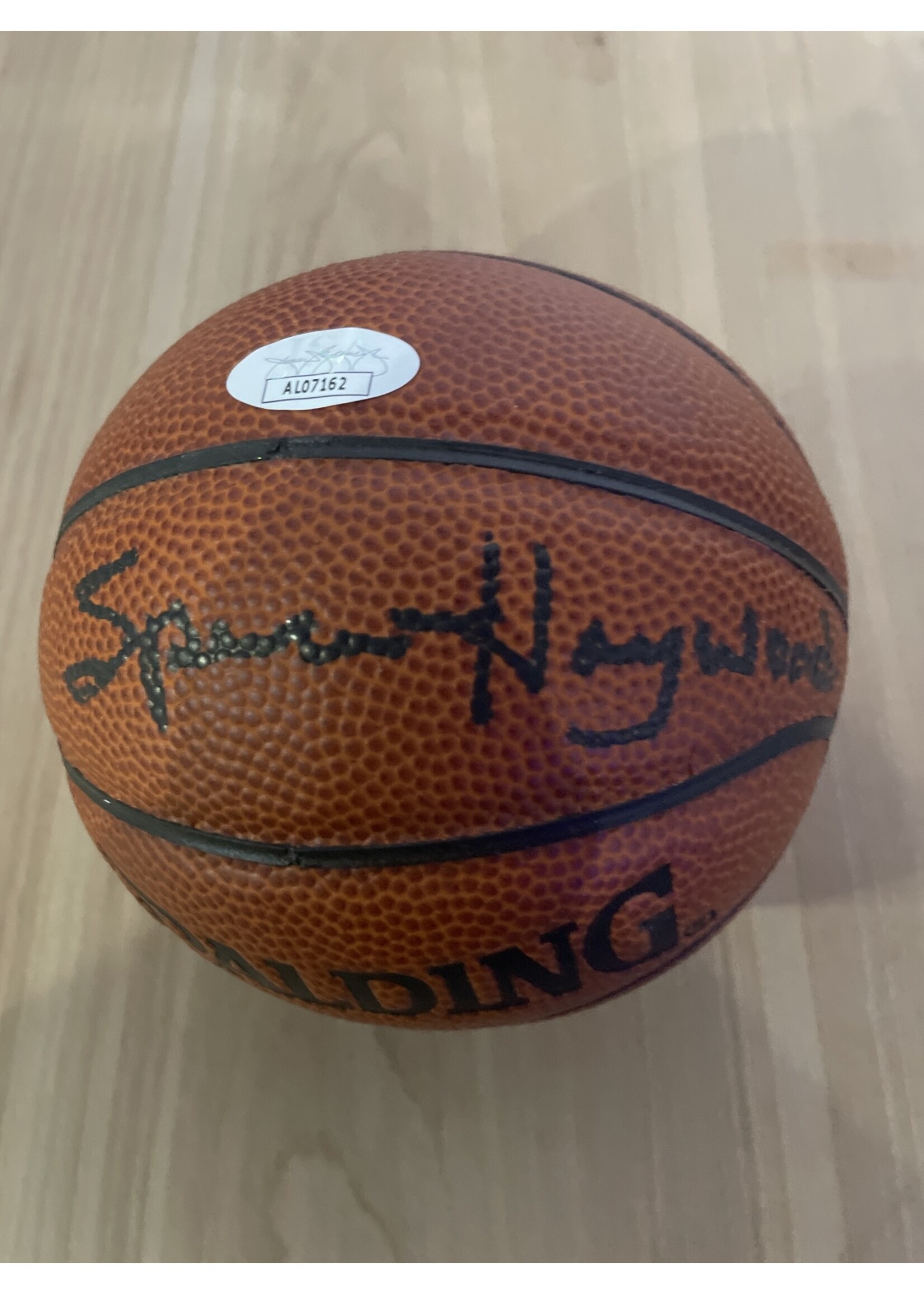 Spencer Haywood Mini Basketball