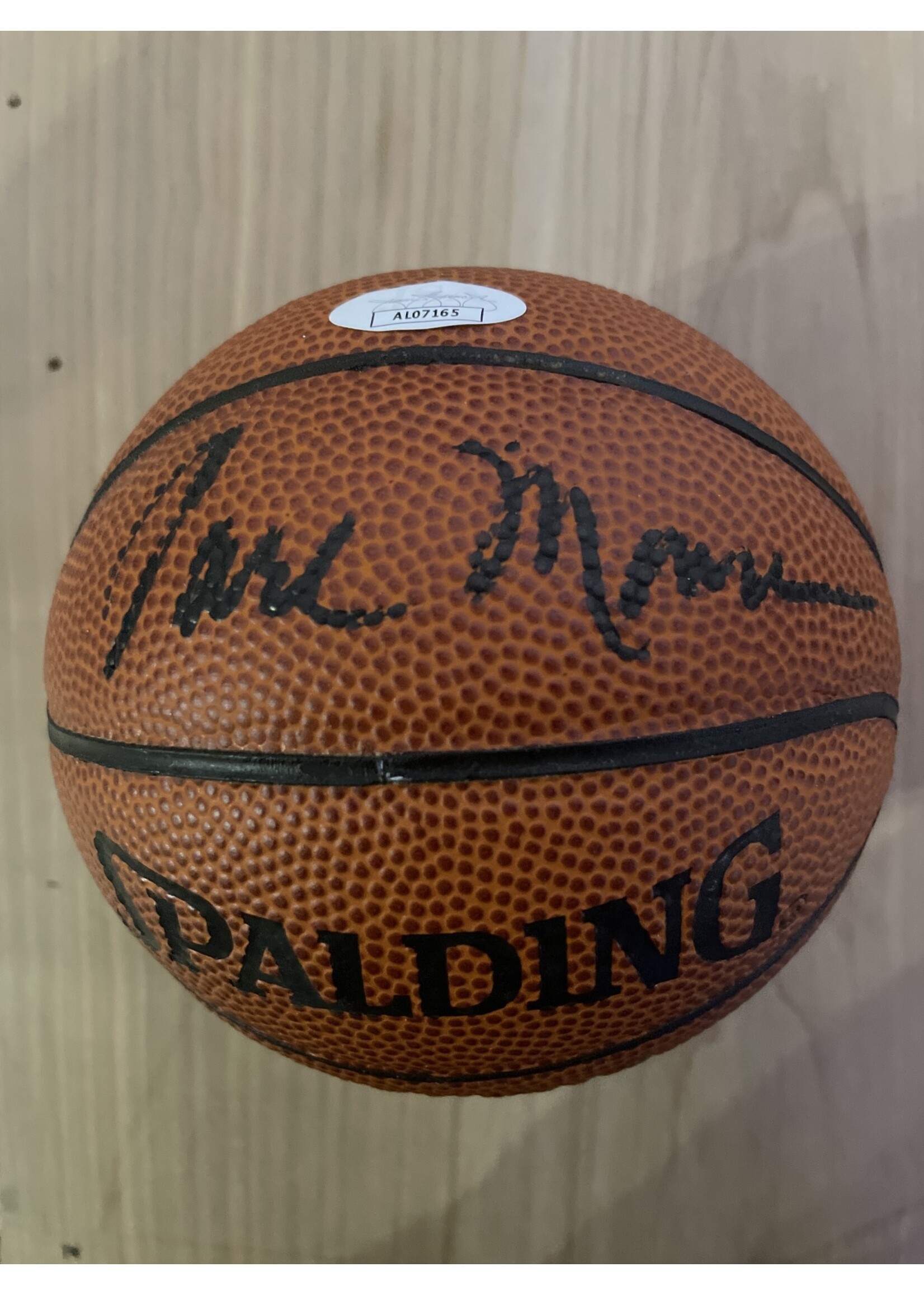 Earl Monroe Mini Basketball