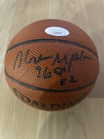 Moses Malone Mini Basketball