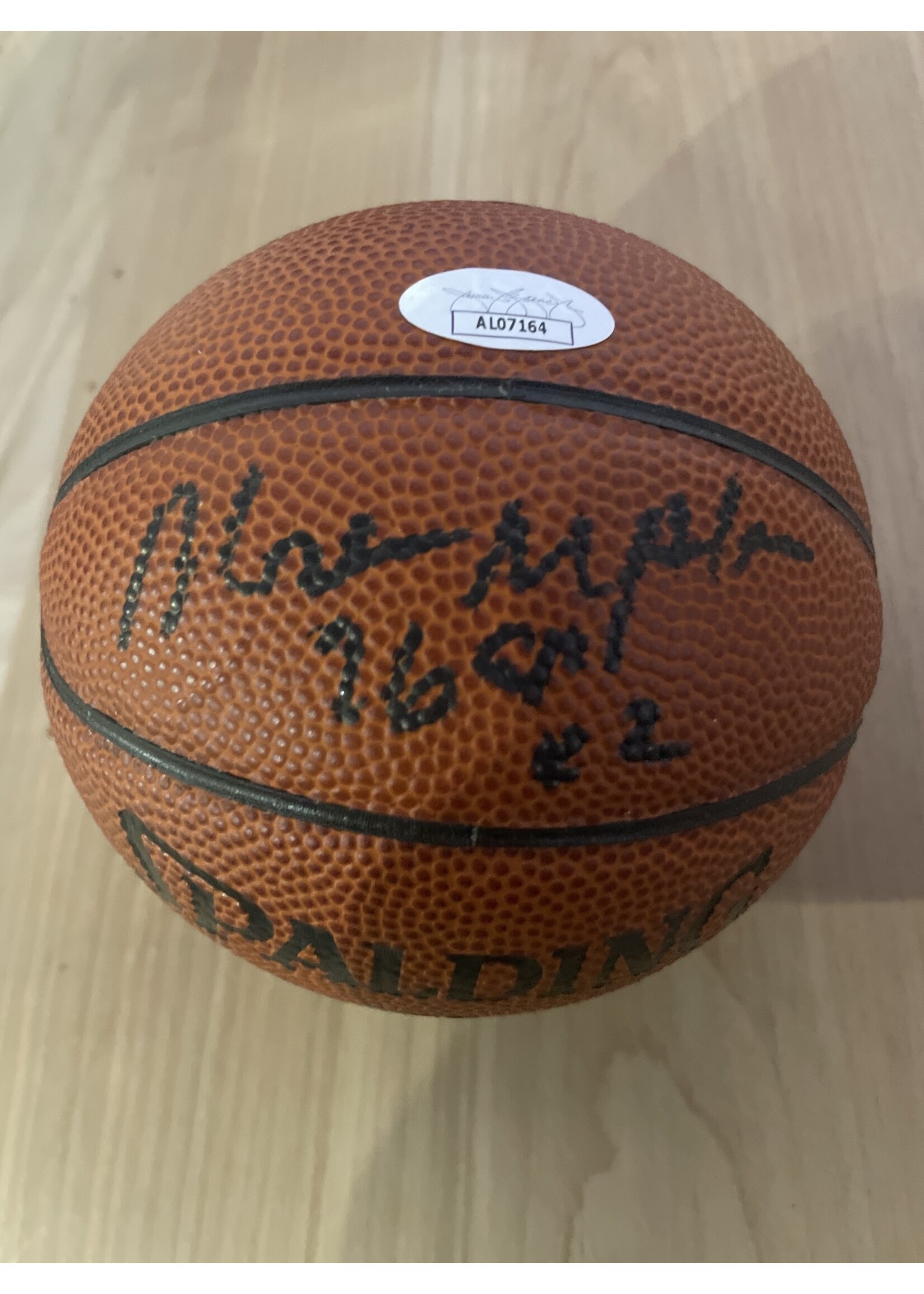Moses Malone Mini Basketball
