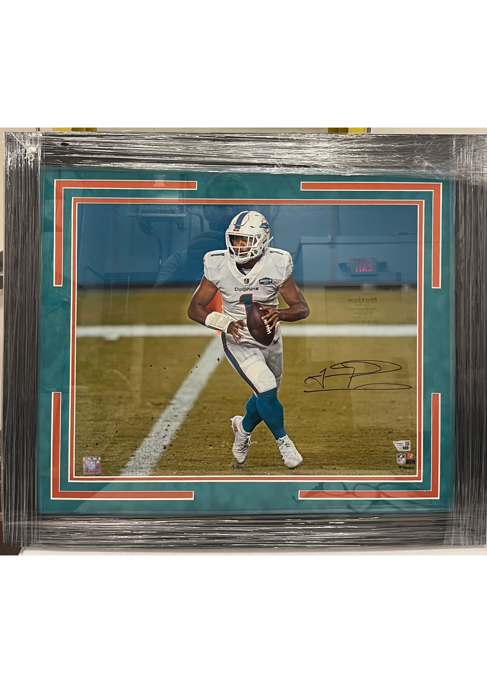 Picture Tua Tagovailoa 16x20 B