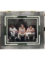 Picture Bird McHale & Parrish 16x20