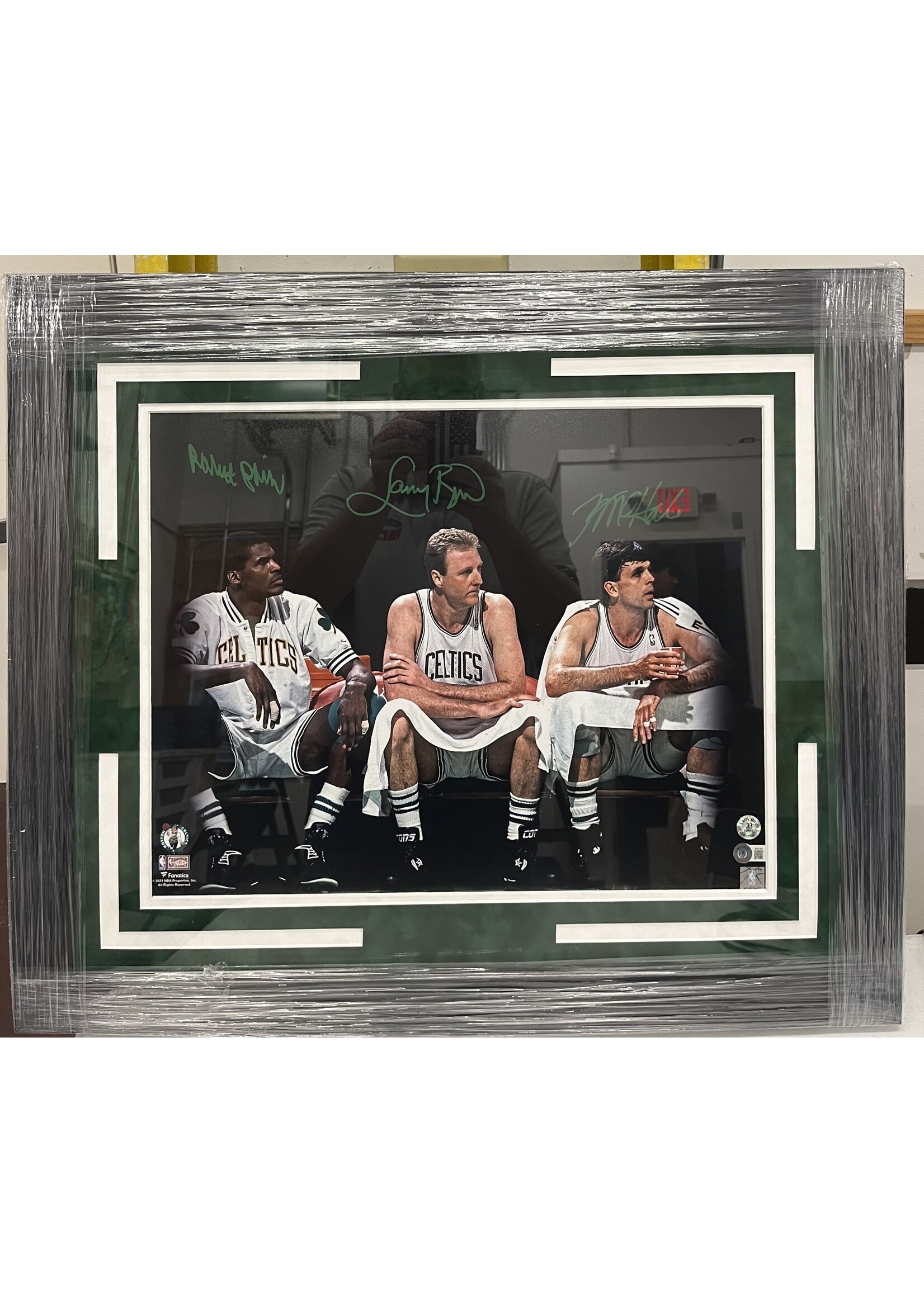 Picture Bird McHale & Parrish 16x20