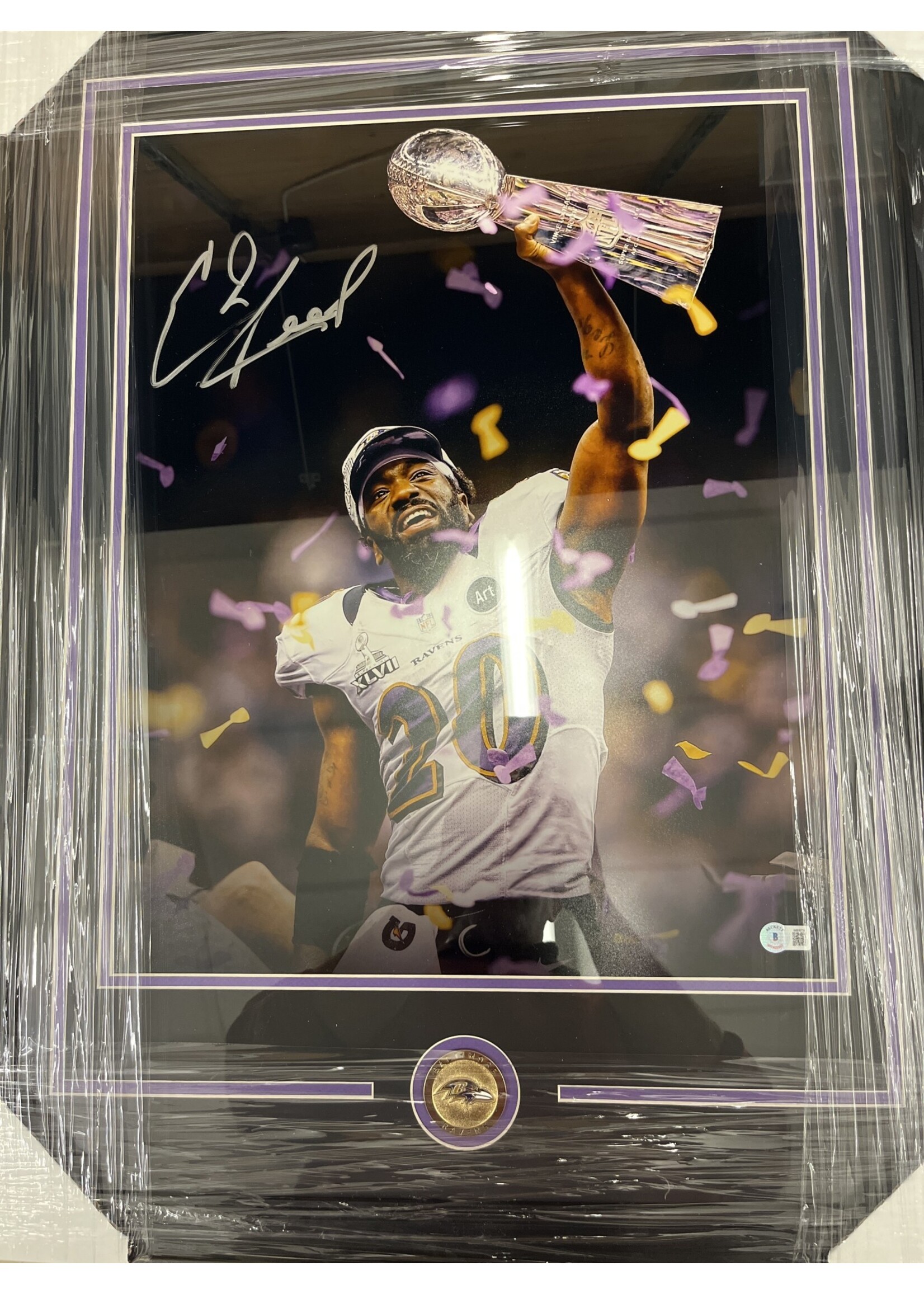 Picture Ed Reed 16x20 B