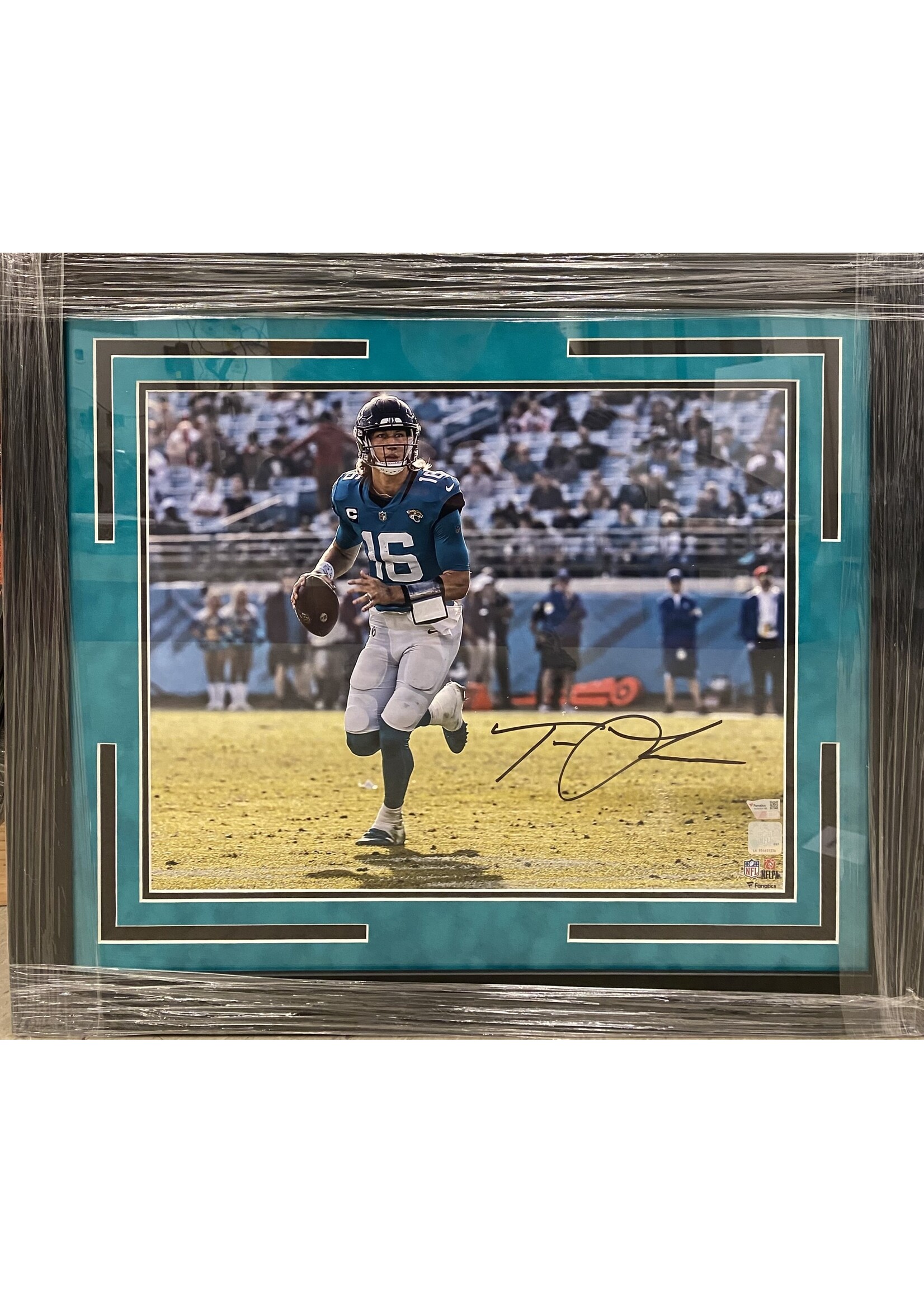 Picture Trevor Lawrence 16x20 B