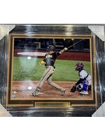 Picture Fernando Tatis 16x20 B