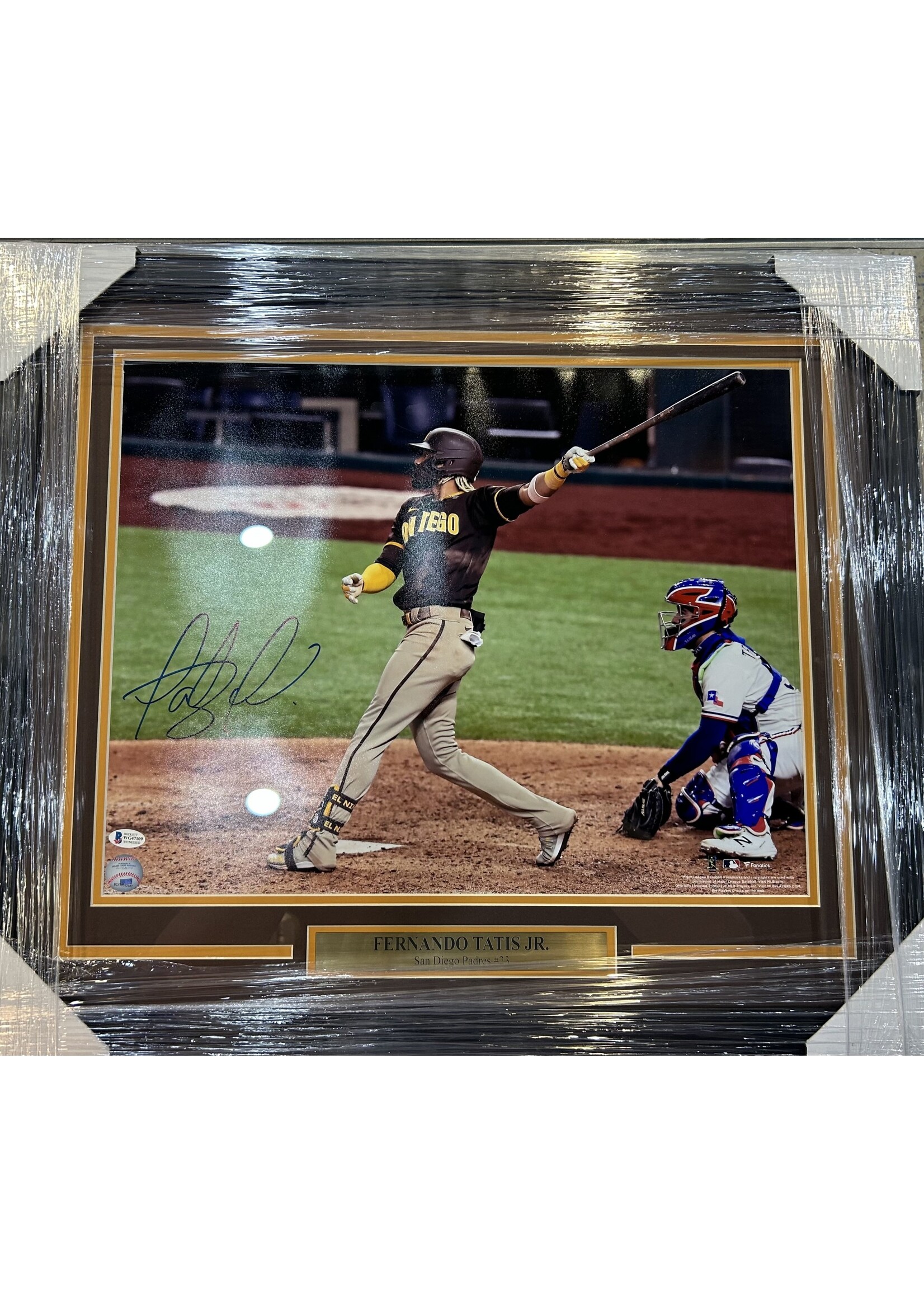 Picture Fernando Tatis 16x20 B