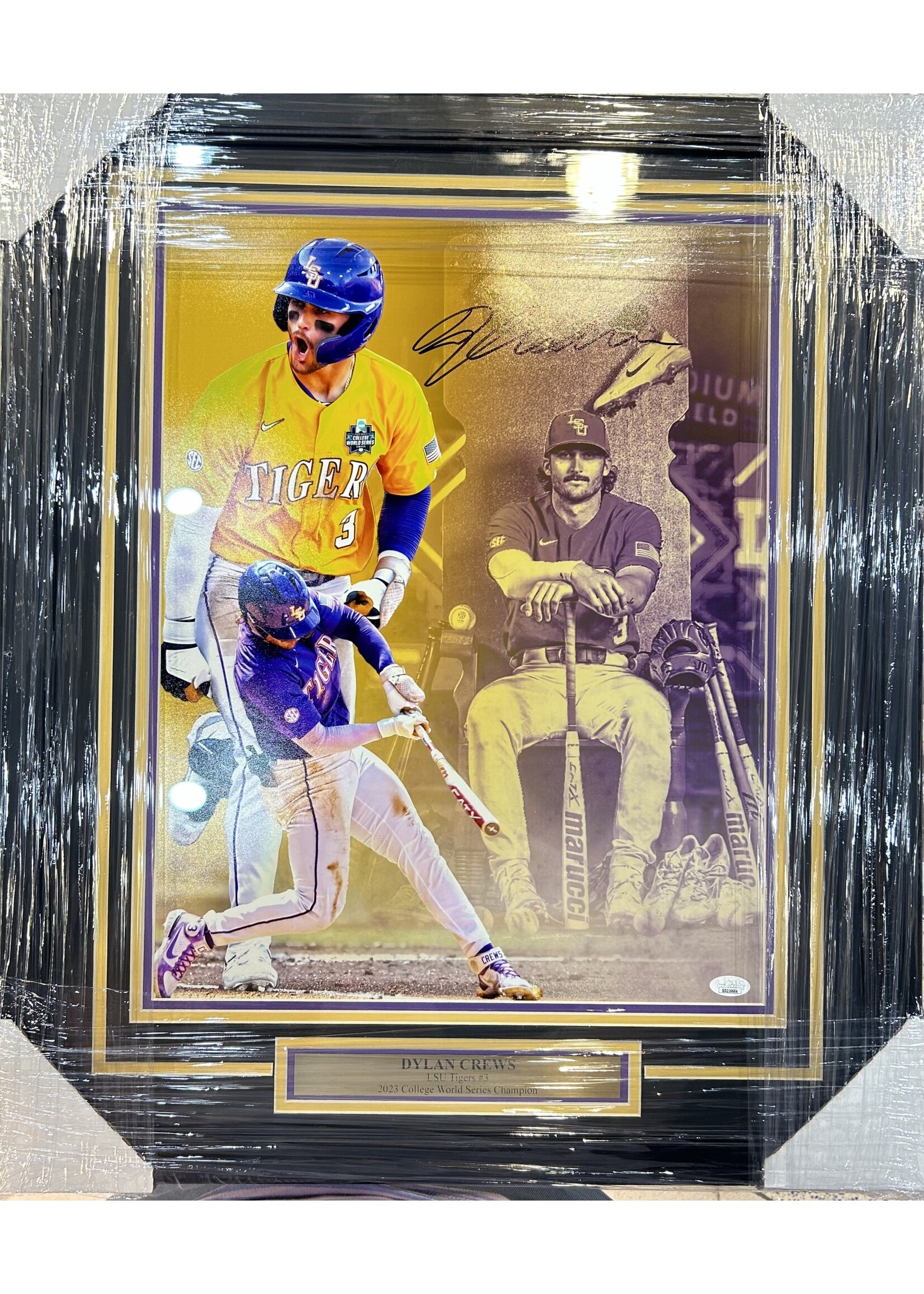 Picture Dylan Crews 16x20