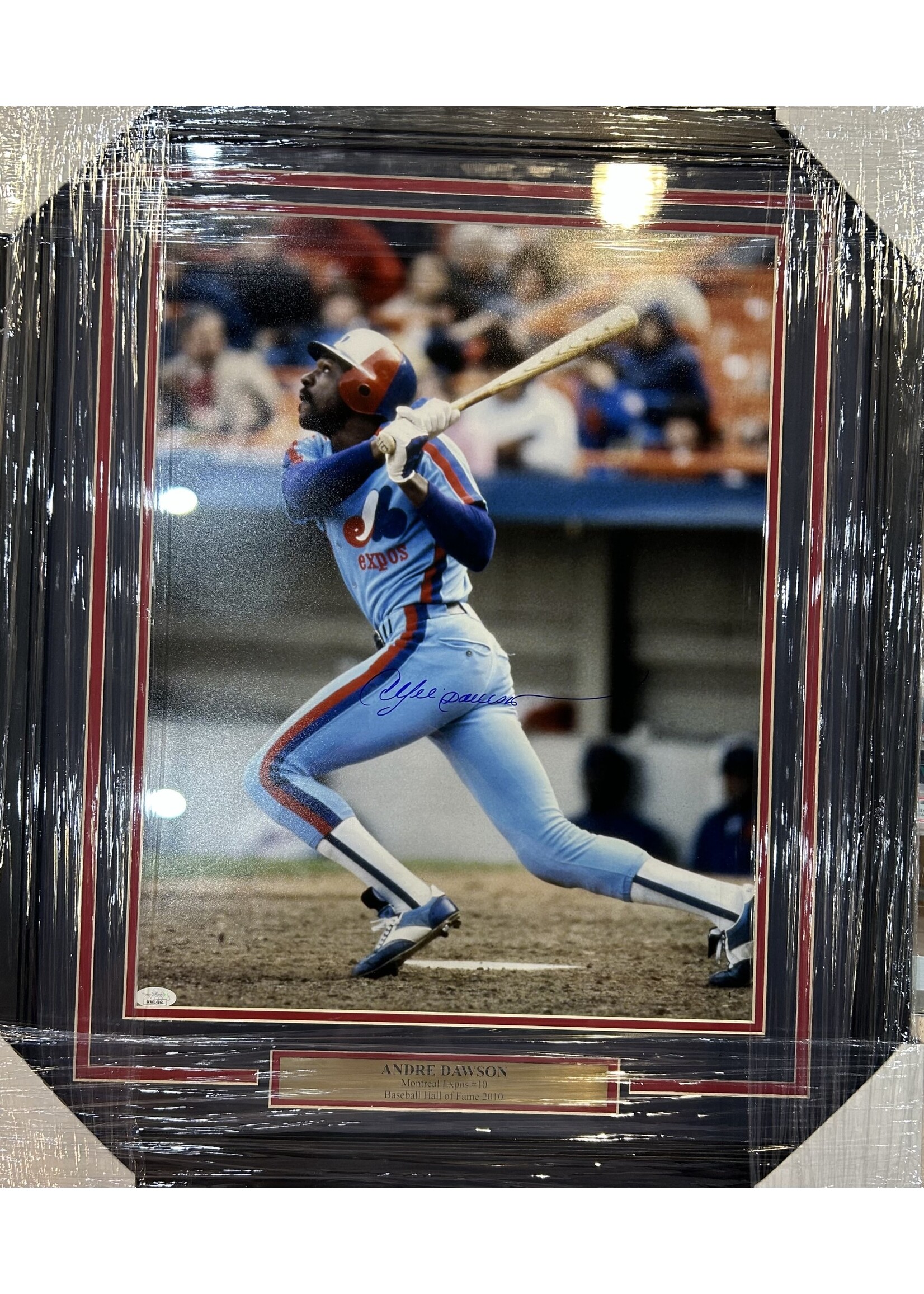 Picture Andre Dawson 16x20