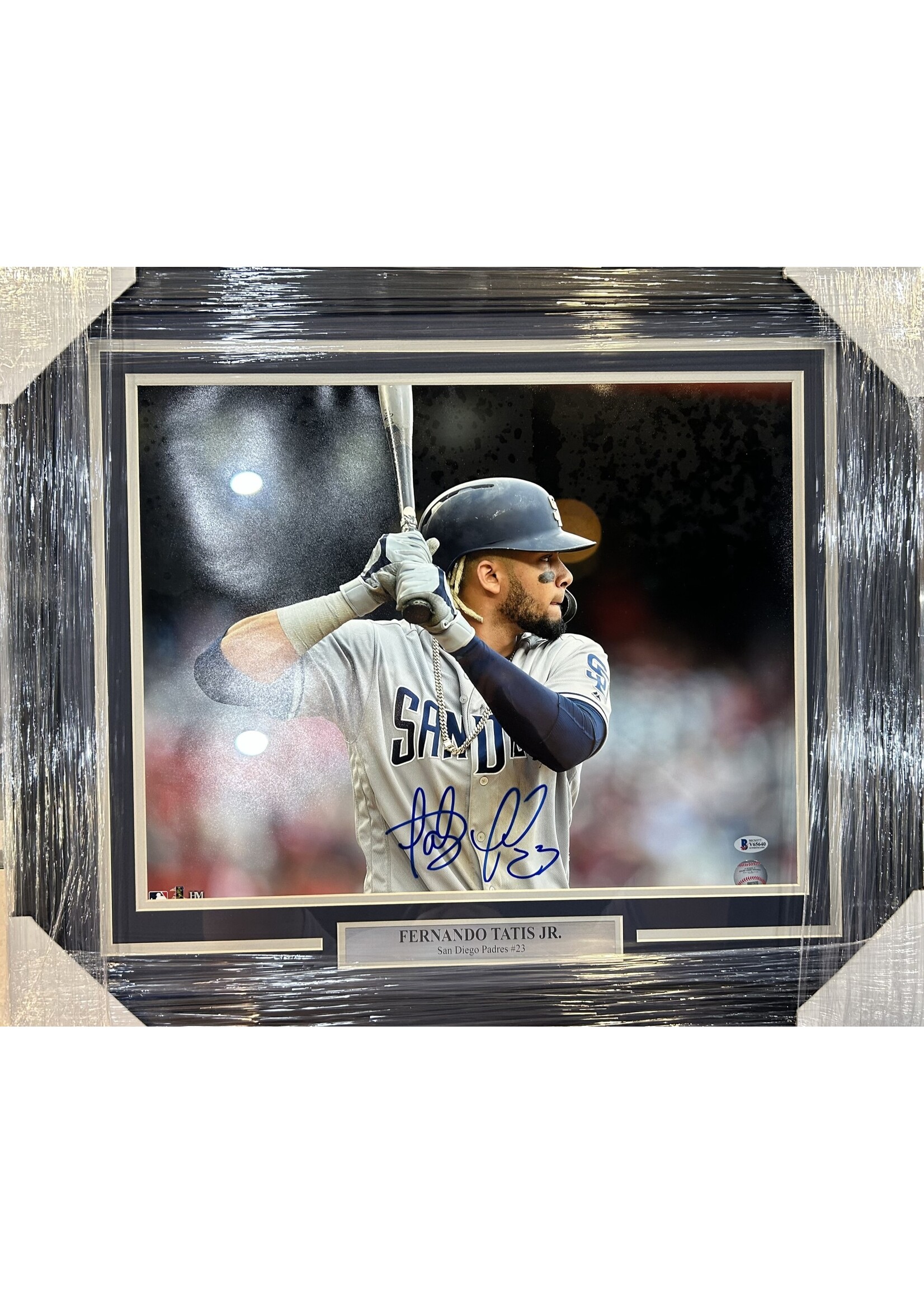 Picture Fernando Tatis 16x20