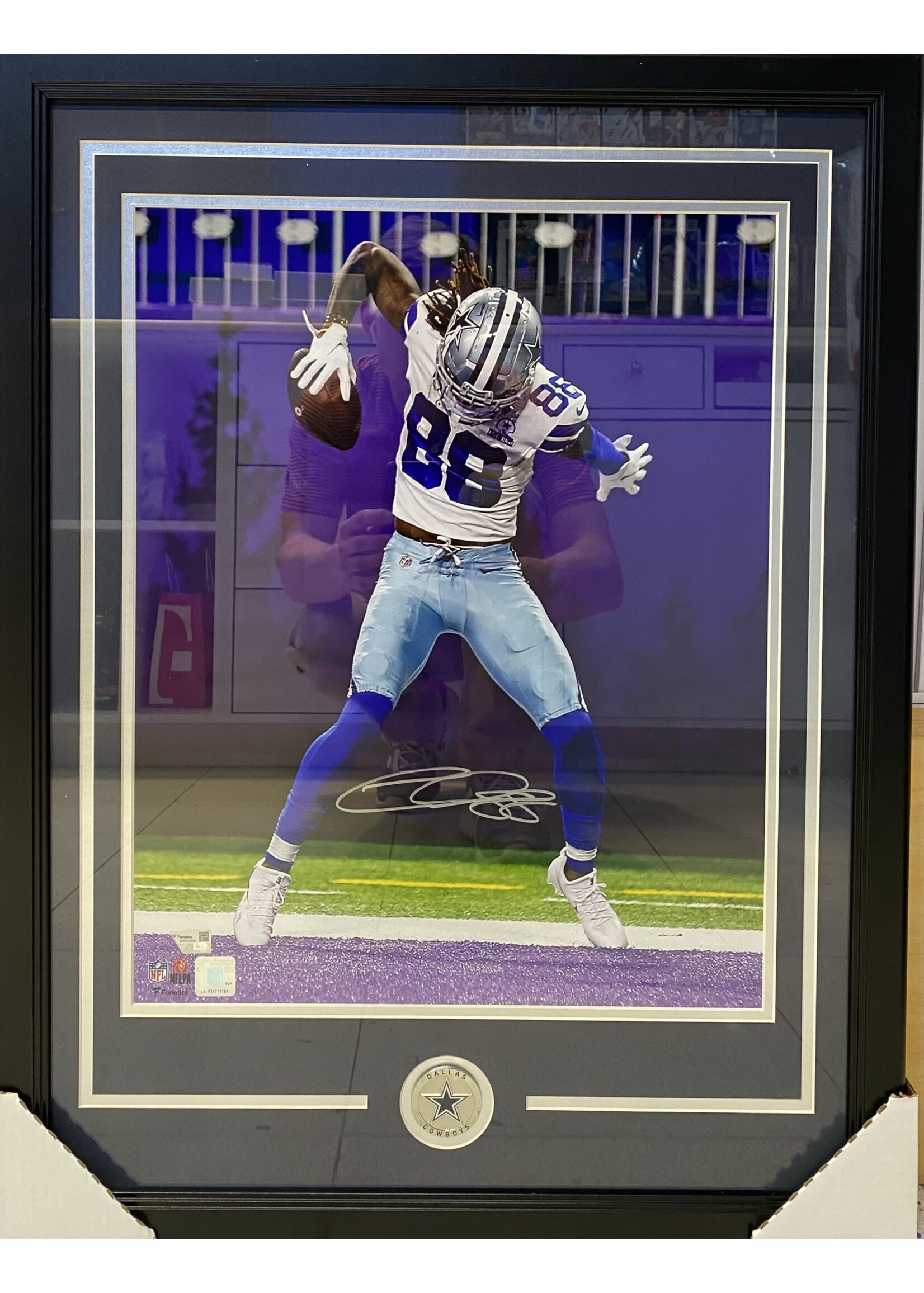 Picture Cee Dee Lamb 16x20 B