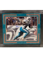 Picture Tyreek Hill 16x20 A