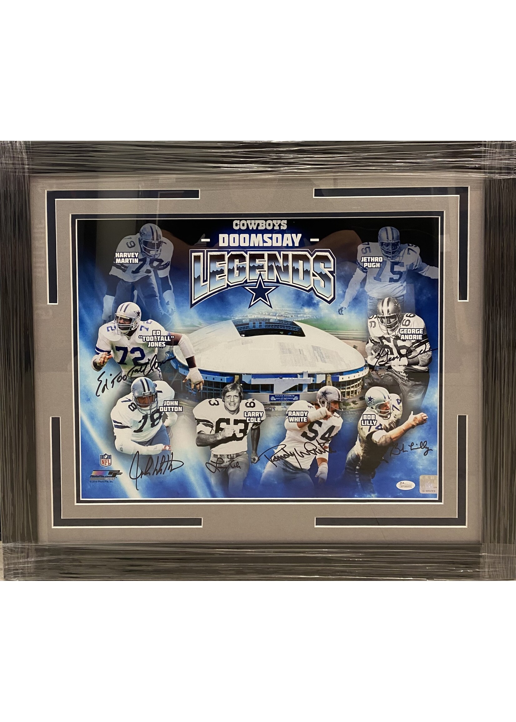 Picture Doomsday Defense 16x20