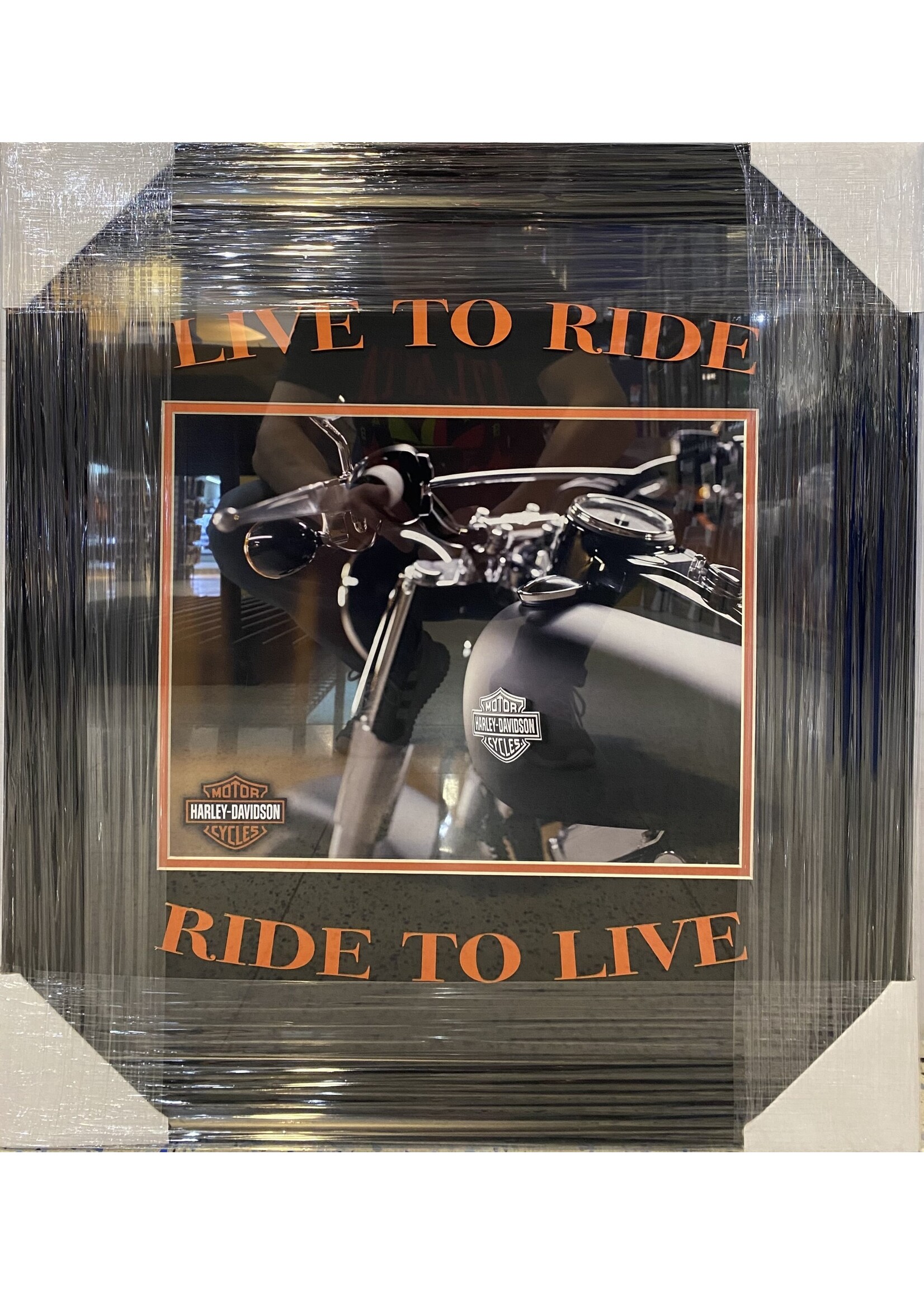 Picture Harley Davidson Photo