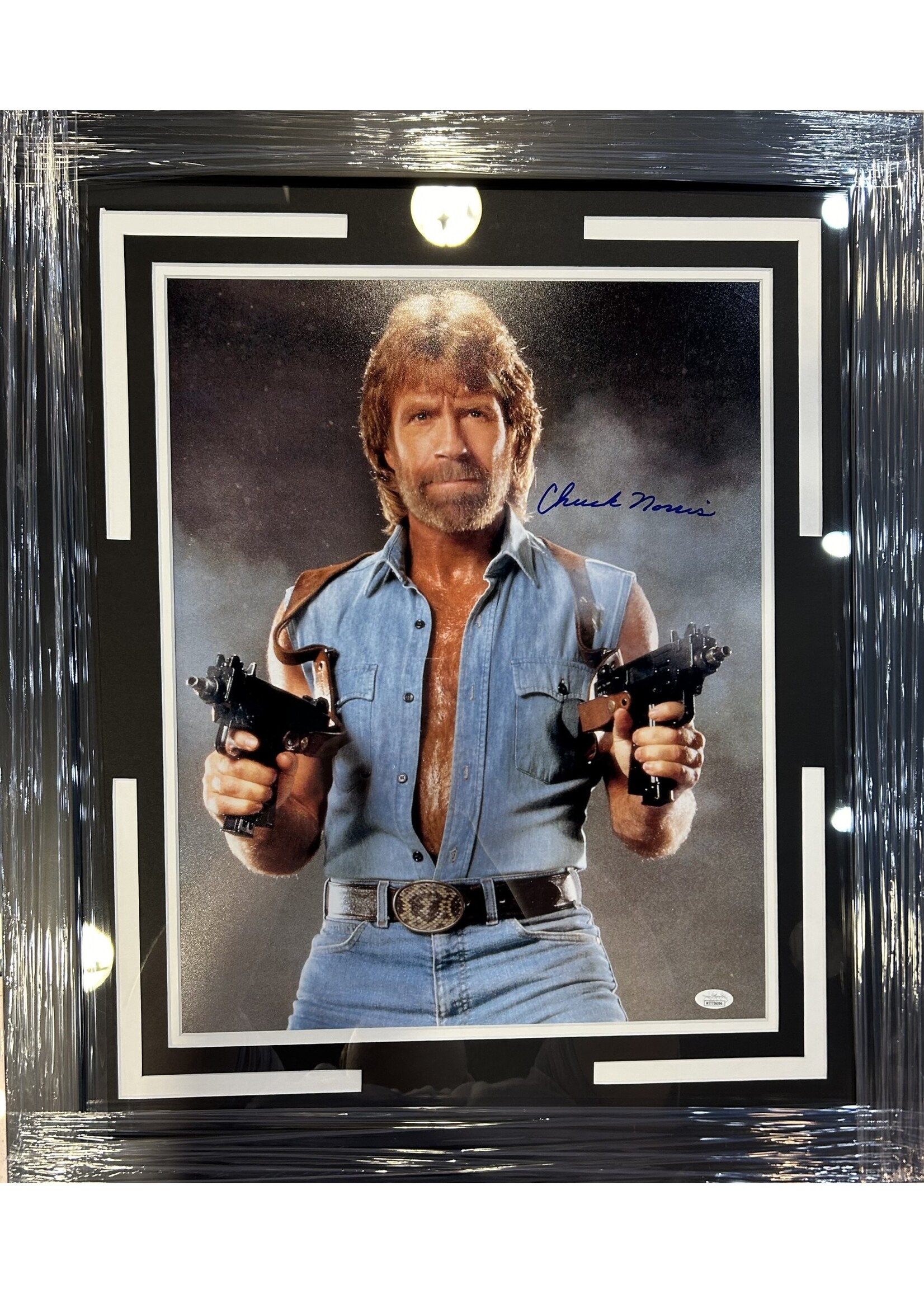 Chuck Norris 16x20
