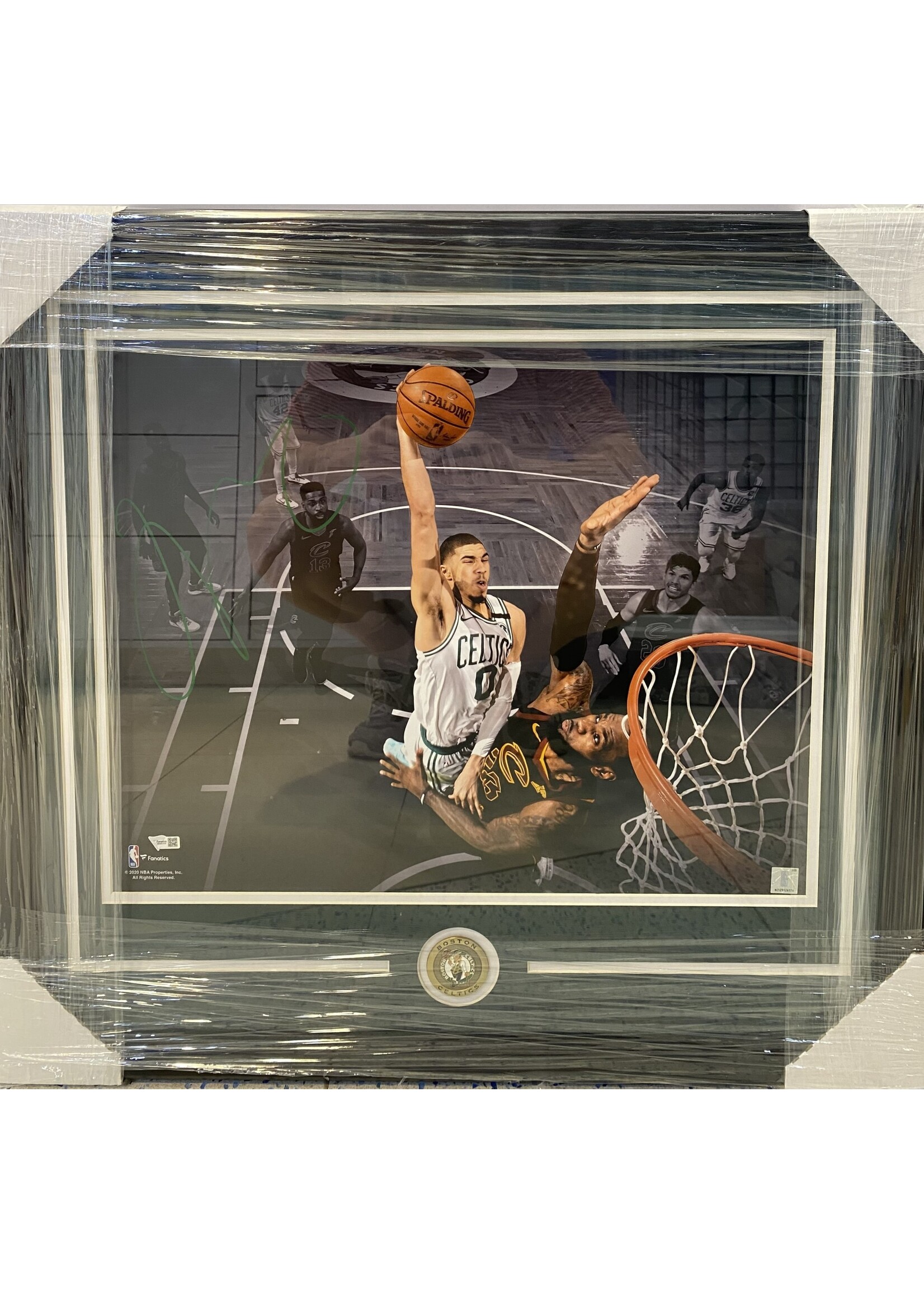 Jayson Tatum 16x20