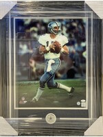 Picture Roger Staubach 16x20