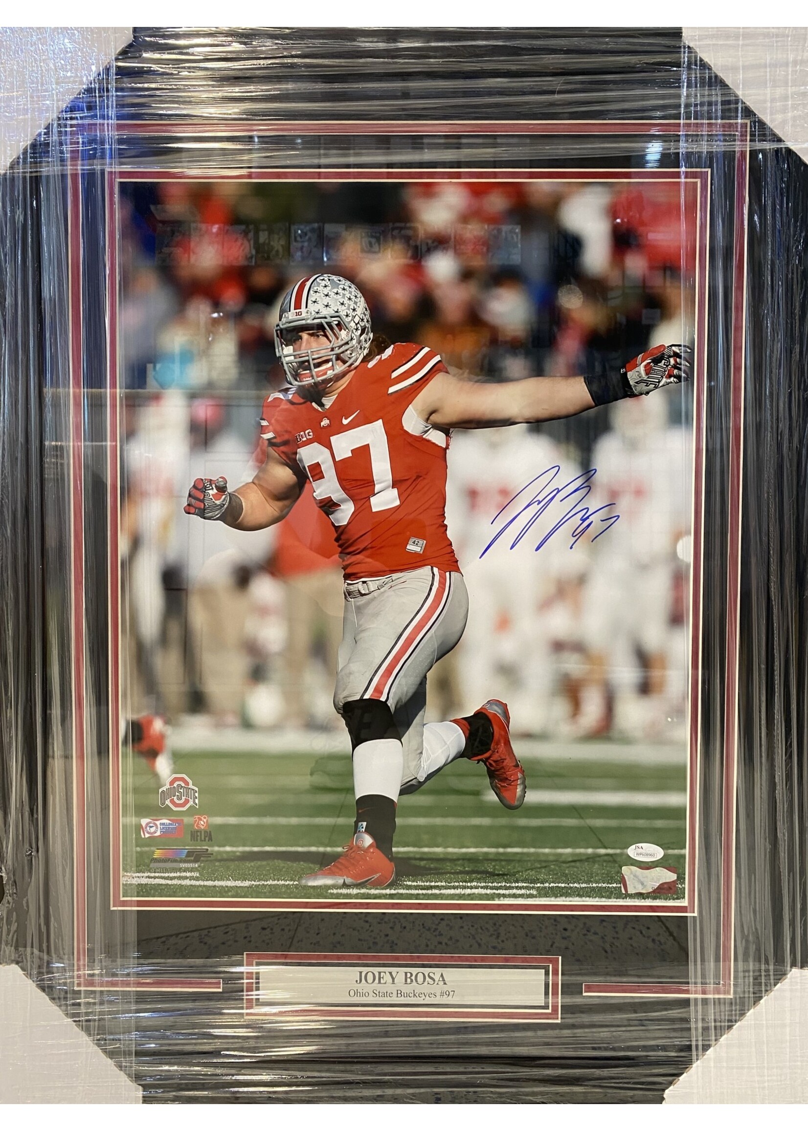 Joey Bosa 16x20