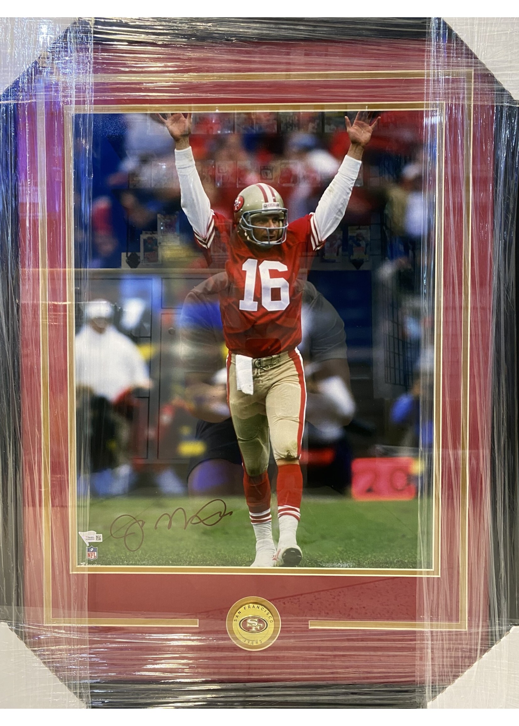 Picture Joe Montana 16x20
