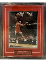 Picture Dennis Rodman 11x14