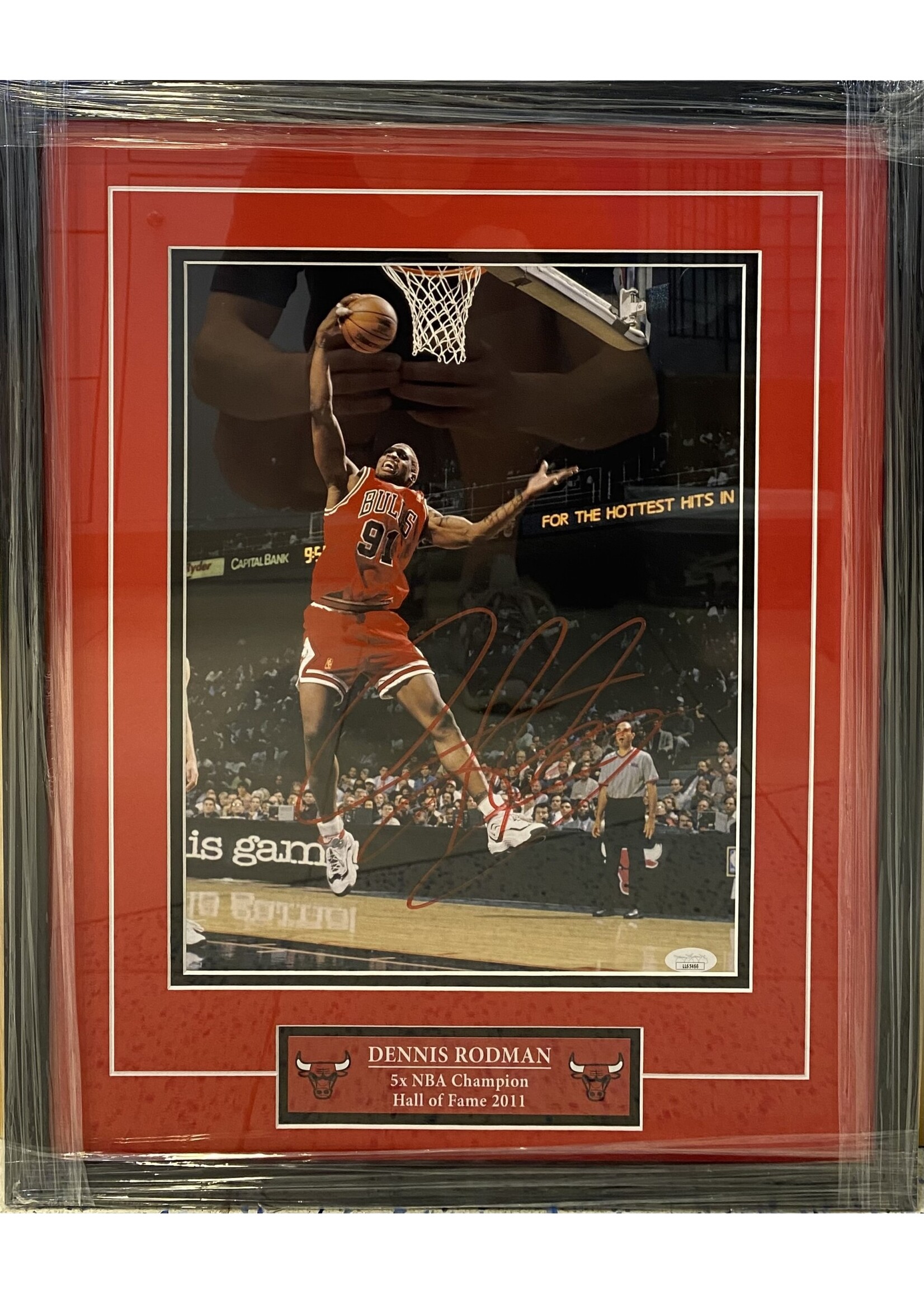 Picture Dennis Rodman 11x14