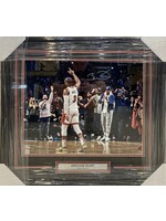 Picture Dwayne Wade 16x20 B