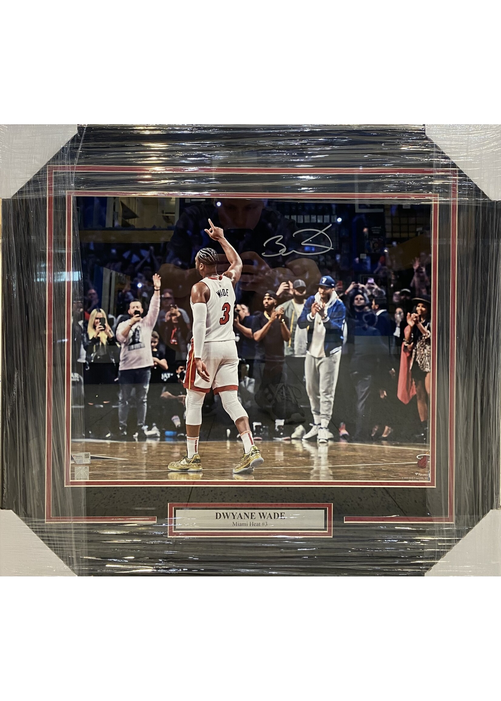 Picture Dwayne Wade 16x20 B