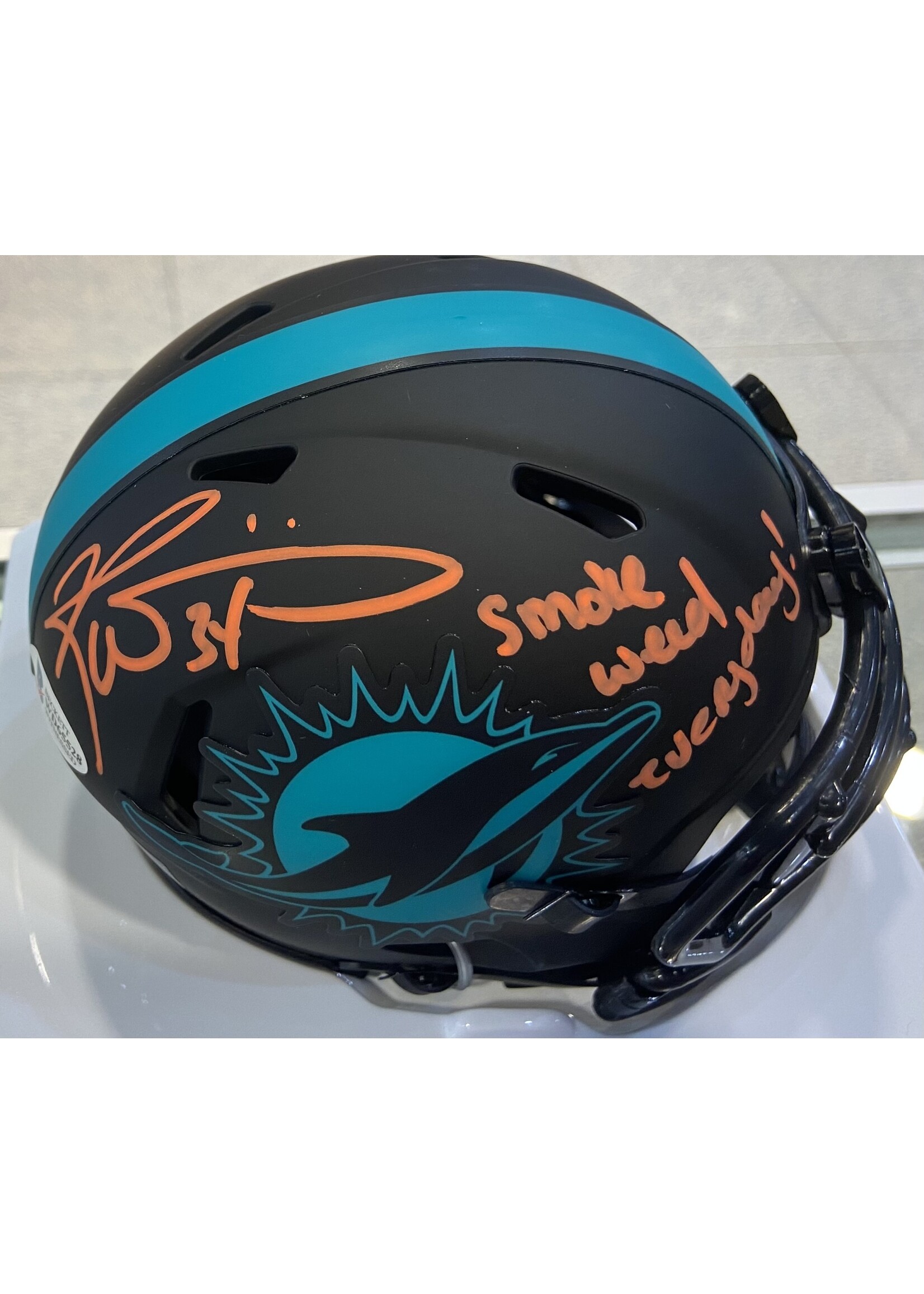 Helmet (Full & Mini) Ricky Williams Mini Helmet C