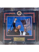 Donald Trump 11x14 Grazed & Unfazed