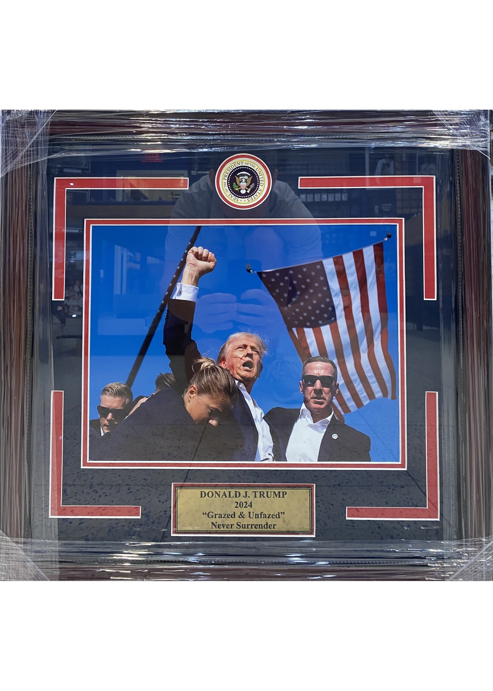 Donald Trump 11x14 Grazed & Unfazed
