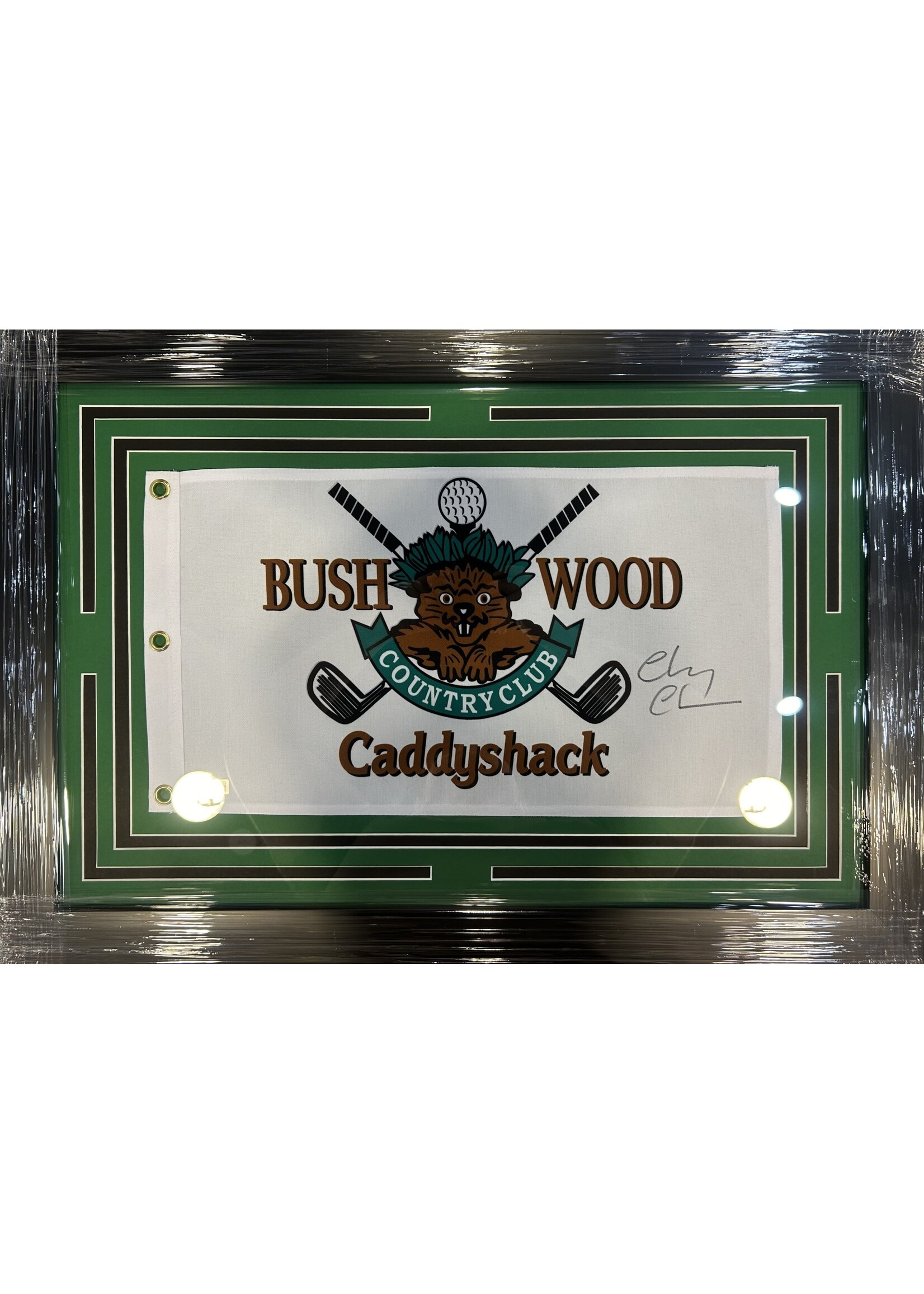 Picture Chevy Chase Caddyshack Flag