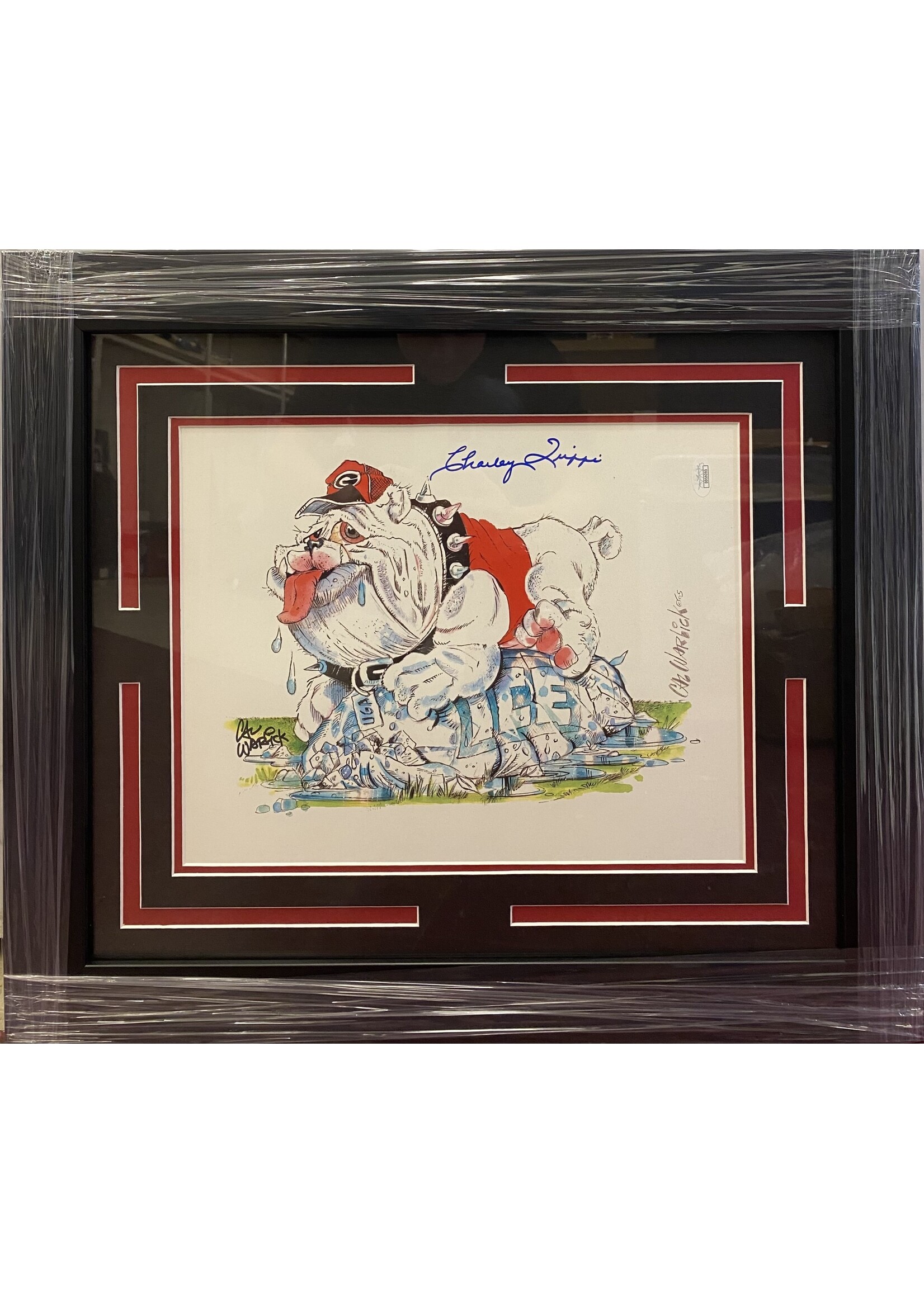 Picture Charley Trippi 11x14 Print