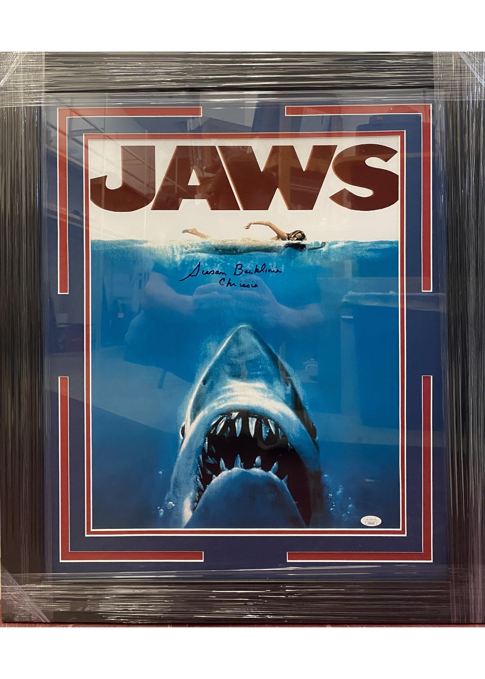 Susan Backline 16x20